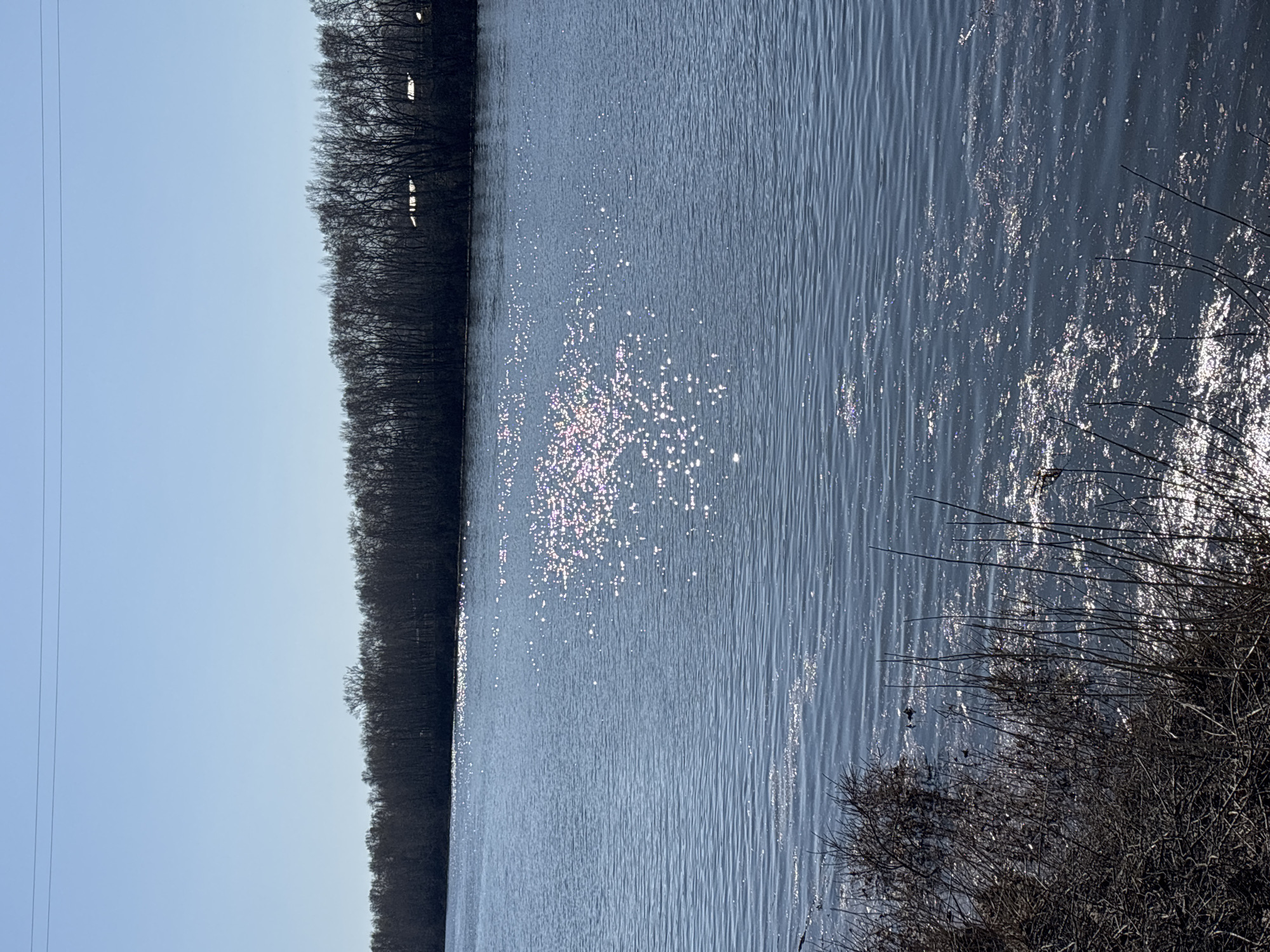 This image depicts a body of water, likely a lake or river, reflecting sunlight. A line of trees borders the water on the left side of the frame. In the lower right corner, there are dry, possibly winter, bushes or shrubs. The sky is visible in the upper left, appearing clear and pale blue. Two power lines are vertically positioned on the left side of the image.
Without additional information, I am unable to determine the specific location in Chaikovsky, Russia.