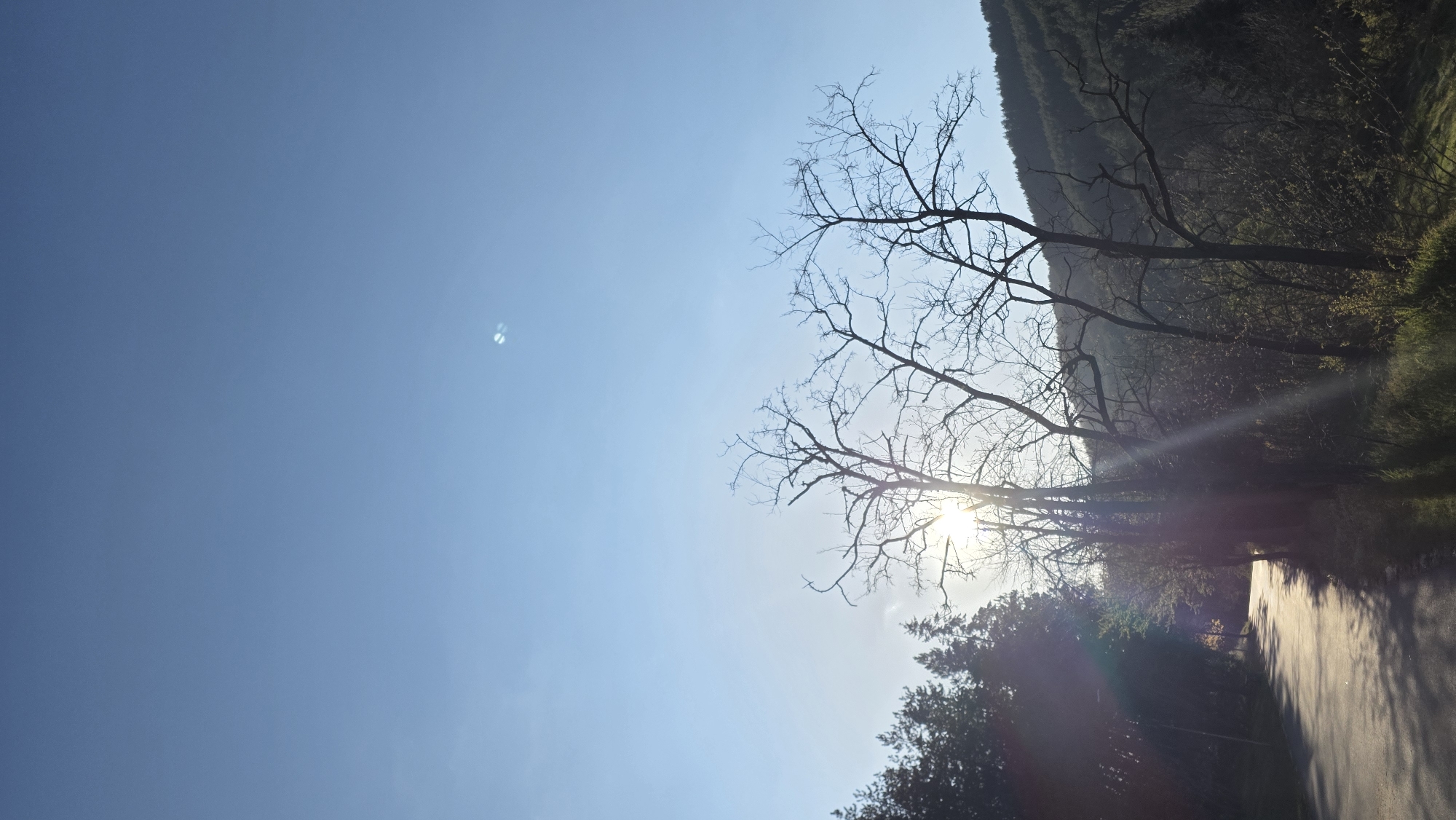 The image depicts a rural scene near Blagoevgrad, Bulgaria, featuring a clear blue sky on the left and a landscape on the right. Bare tree branches silhouette against the bright sky, with the sun obscured behind one of the trees, causing a lens flare. The landscape consists of a forest on a hillside, and the edge of a road is visible in the lower right corner. The image is rotated ninety degrees clockwise.