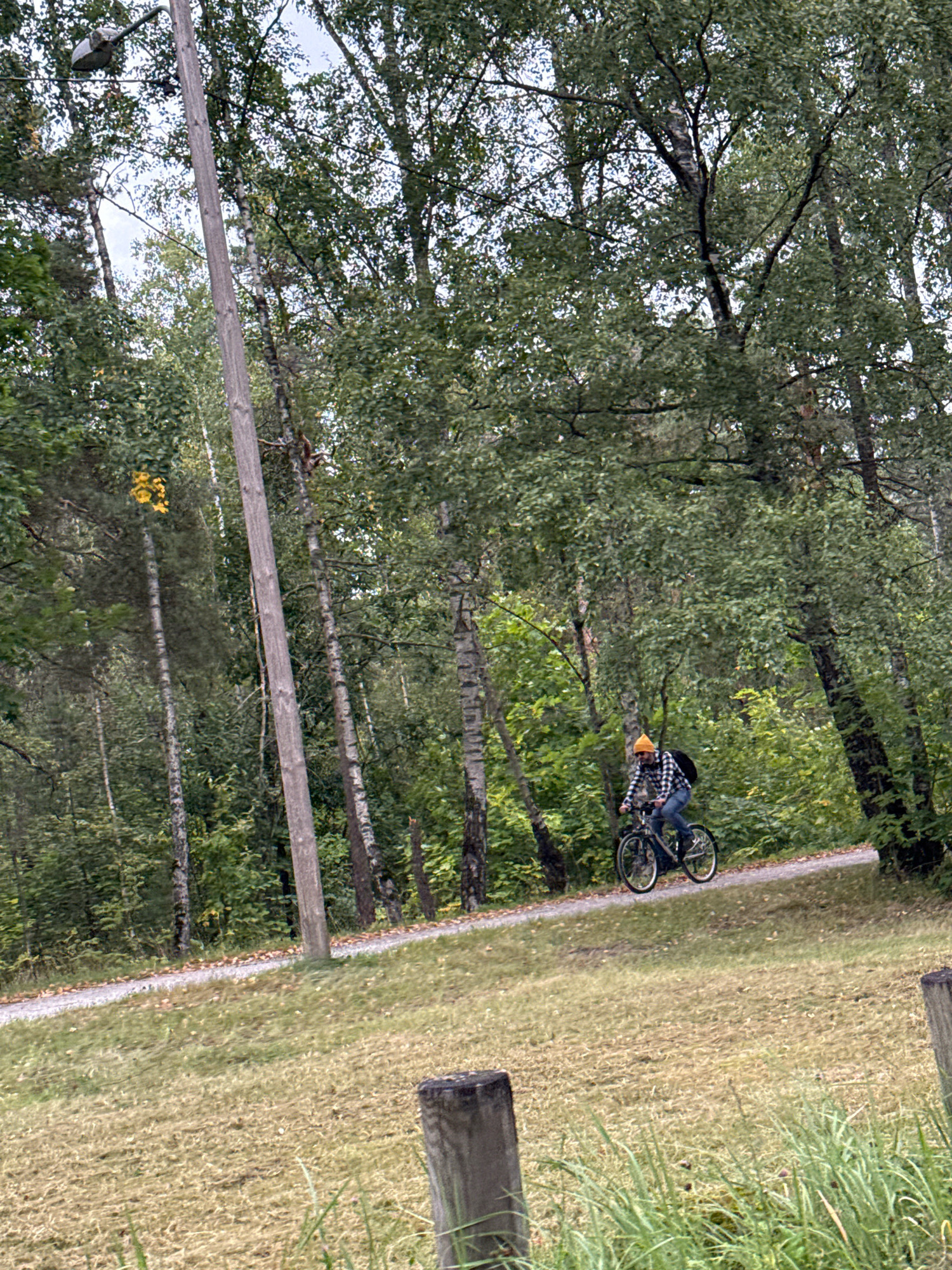 A person is riding a bicycle on a paved path through a wooded area. The person is wearing a checkered shirt, blue jeans, a yellow hat, and a backpack. The path curves to the right, and the trees on either side are tall and leafy. The ground is covered in grass and some fallen leaves. In the foreground, there are two wooden posts and more grass. The scene appears to be a park or a nature trail.