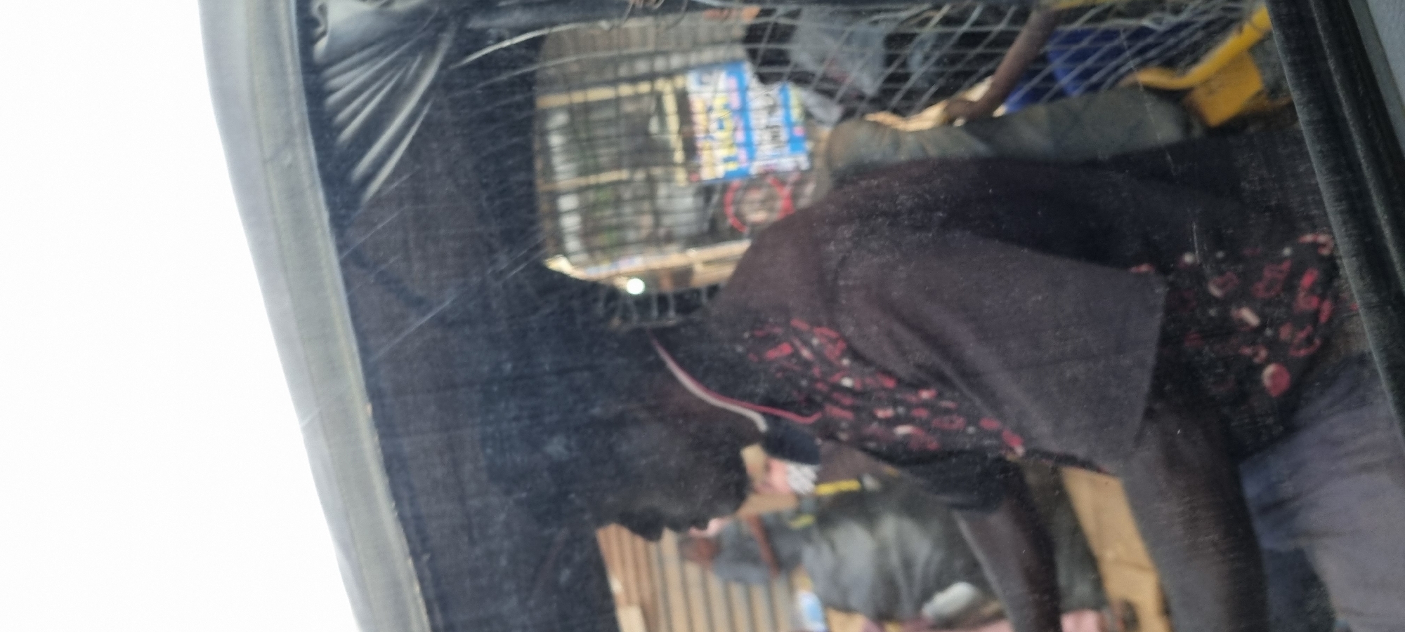The image shows a man driving a motorized tricycle, likely in the city of Otta, Nigeria. The man is wearing a dark shirt with a red and white collar and a patterned design on the front. He appears to be looking forward, focused on driving. In the background, there are glimpses of what appears to be a marketplace or street scene, with buildings and other people visible. The tricycle has a black tarp covering part of it. The image is taken from inside the tricycle, looking out. The overall impression is of a busy urban environment in Nigeria.