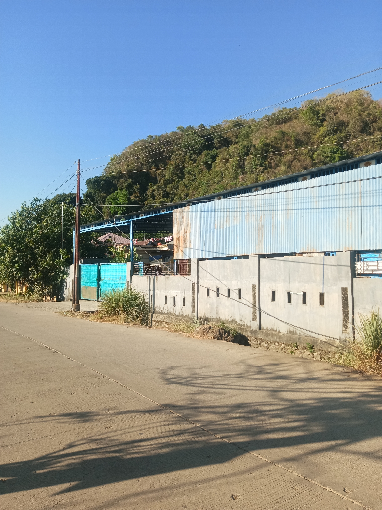 The image depicts a scene along a paved road in Bowong Cindea, Indonesia. A concrete wall borders the right side of the road, extending towards the background. This wall has a series of small, rectangular openings or windows spaced along its length. Above the concrete wall is a corrugated metal structure with a light blue hue, likely part of a building. A lush green hillside covered in trees rises behind the structures, under a clear blue sky. To the left of the road, a large tree with dense foliage stands prominently. In the foreground, the road surface is visible, with distinct lines and shadows cast by unseen objects, suggesting it is daytime. A utility pole with electrical wires stands near the center left of the image. A set of light blue gates is situated in front of the concrete wall, partially obscuring structures behind it. The overall environment appears to be a semi-rural or industrial area within Bowong Cindea.