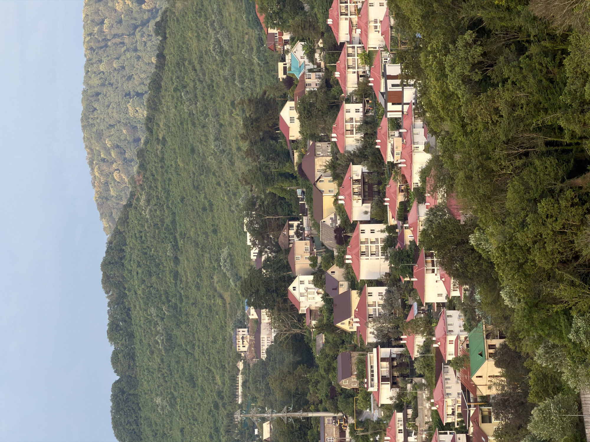 The image shows a dense residential area nestled on a steep, tree-covered hillside in Sochi, Russia. The houses, predominantly of two to three stories, feature red-tiled roofs and a variety of architectural styles, including many with balconies and white facades. The hillside is extensively forested, with lush green trees dominating the landscape and partially obscuring the buildings. In the background, a larger, more distant forested mountain rises under a clear, pale sky. A power line pylon is visible on the left side of the image, indicating proximity to infrastructure. There are no people or any obvious signs of activity within the scene. The overall impression is one of a developed, yet heavily vegetated, urban environment on challenging terrain.