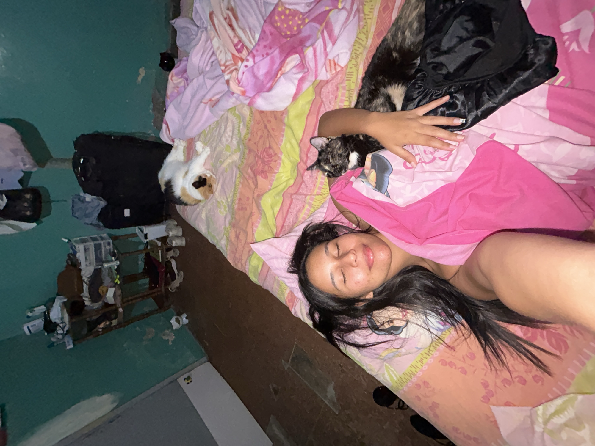 A woman is lying on a bed covered with pink and orange patterned sheets and blankets in an indoor setting. A small cat is resting on her shoulder. Another cat is near her hand, and a third cat is at the head of the bed. In the background, there is a shoe rack with shoes on it. A black bag is on the floor, leaning against the wall. The location appears to be indoors, but it is not possible to confirm if it is in Juan Griego, Venezuela.