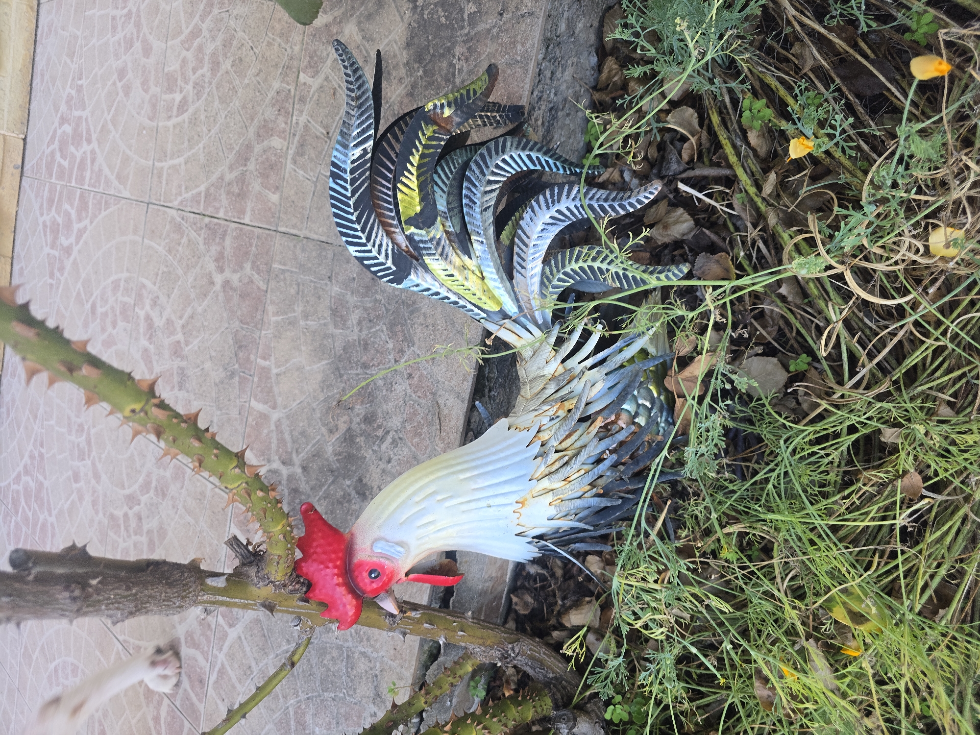 A metal rooster decoration is nestled in foliage next to a rose bush. The rooster has a red comb and wattle, a white neck, and a tail with multiple colored, feather-like metal pieces. The rose bush has a thorny stem. The ground is covered with brown leaves and green grass. In the background, a tiled patio is visible, and the white paw of a dog can be seen on the patio. The scene appears to be outdoors in a garden setting.
