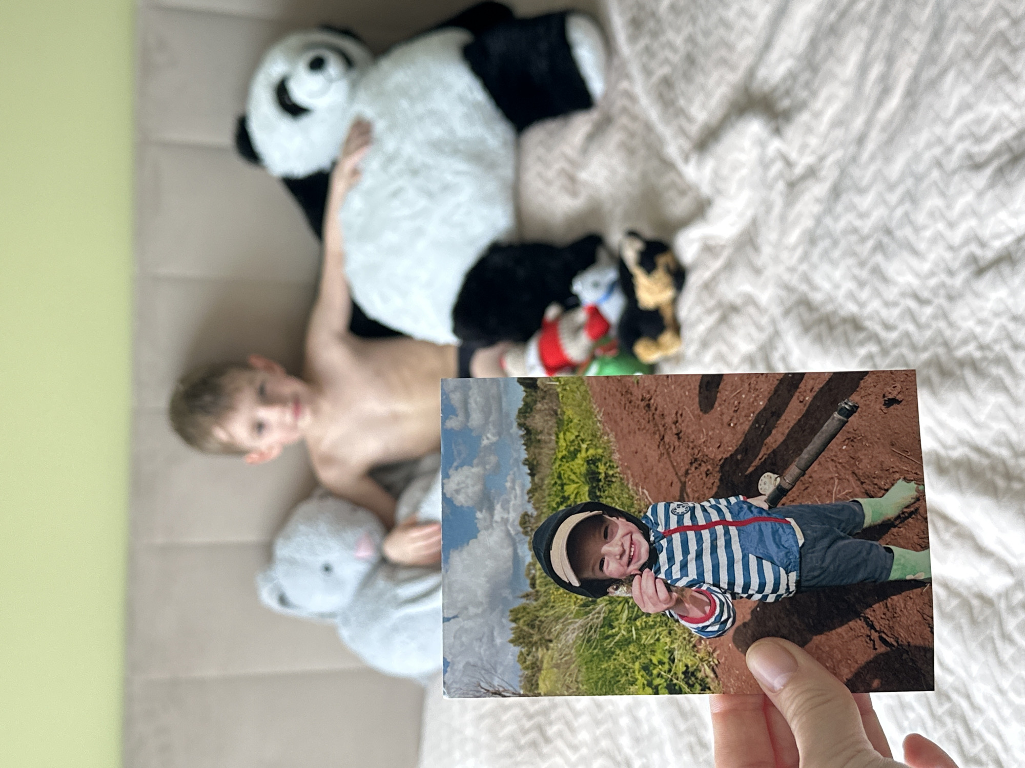 The image presents a layered scene, combining an indoor setting with a photograph depicting an outdoor moment. In the background, an indoor environment features a young boy, shirtless, lying on a beige sofa. He is smiling faintly and has one arm resting on a large, black and white panda plush toy. A grey stuffed animal is positioned near his feet, and several smaller plush toys are visible on a white, textured blanket to his right. A light green wall forms the left side of the background.
In the foreground, a person's hand holds up a printed photograph. This photo captures a different young child, likely a boy, wearing a blue and white striped jacket with red accents, dark trousers, light green wellington boots, and a cap. He is smiling broadly and appears to be holding a small item in his right hand. The outdoor setting in the photograph shows a wide expanse of reddish-brown, tilled earth with green foliage and trees in the distance, under a bright blue sky dotted with white clouds. A dark-colored pipe or stick lies on the ground to the right of the child in the photo.
Both children in the image, the one relaxing on the sofa and the one depicted in the handheld photograph, are smiling, conveying a sense of happiness and contentment. The overall scene suggests a personal moment of leisure and shared memories, potentially within a home in Chaikovsky, Russia. There is no visible text in the image.
