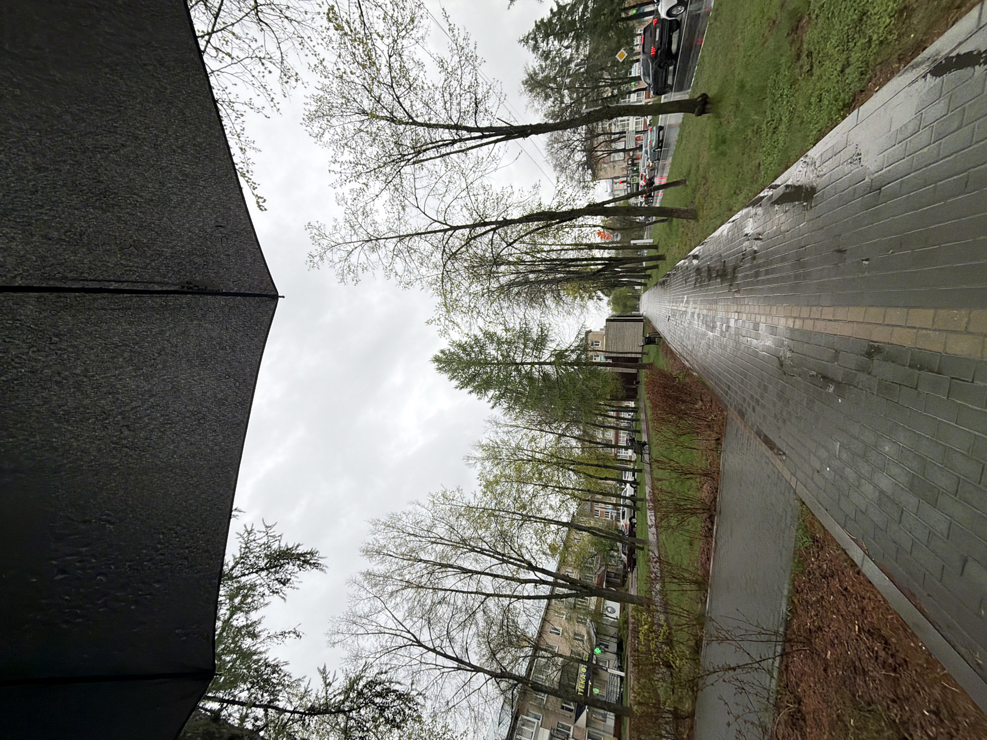 The image captures a street scene in Chaikovsky, Russia on a wet day. The foreground is dominated by a black umbrella, partially obscuring the view. A paved walkway stretches into the distance, glistening with moisture from the rain. Flanking the walkway is a line of bare trees, their branches reaching up towards an overcast sky. Buildings and parked cars are visible beyond the trees. The overall impression is one of a quiet, rainy day in an urban environment.