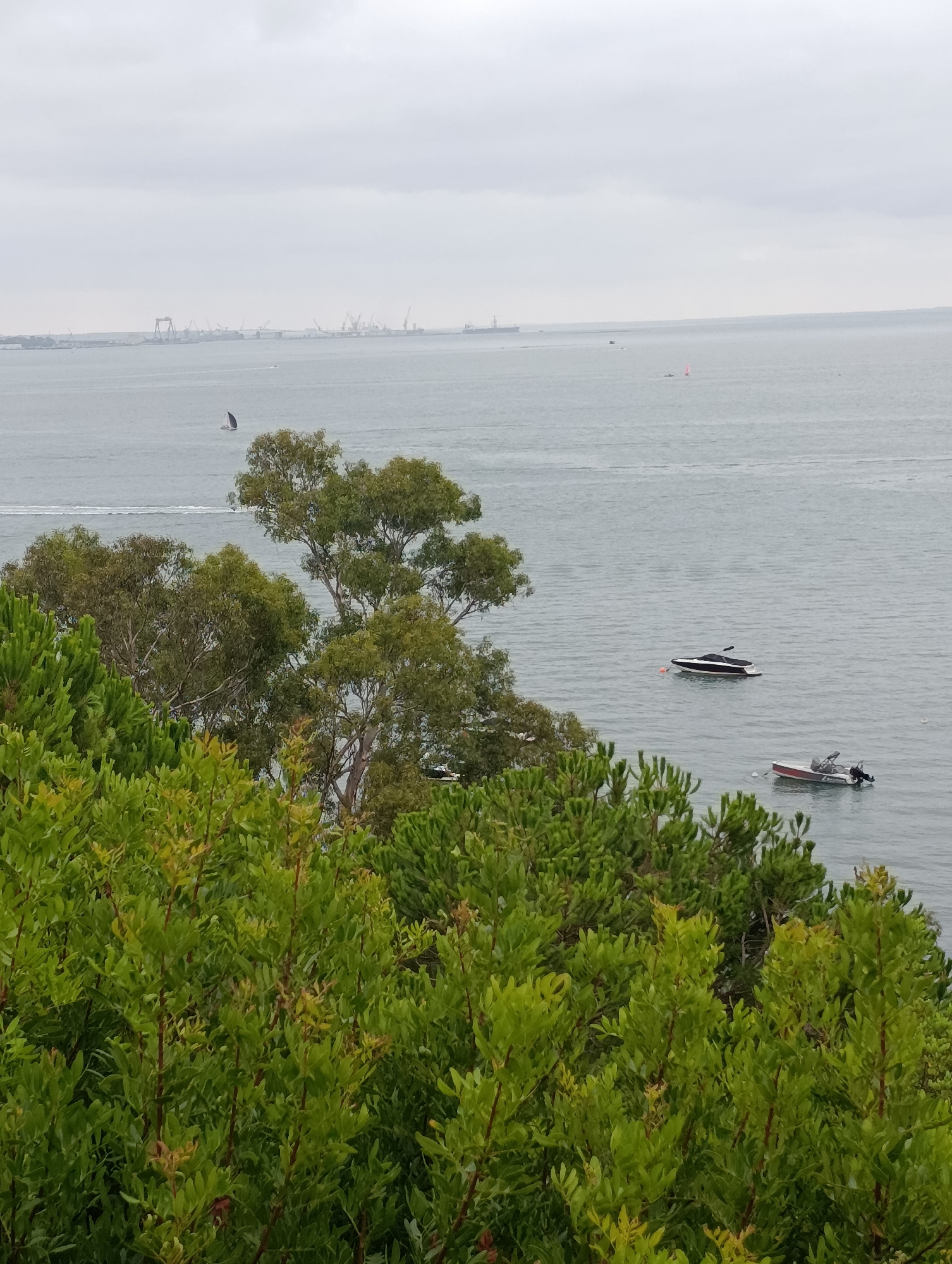 The image captures a panoramic view of the Sado River estuary near Setúbal, Portugal, under a cloudy sky. In the foreground, dense green foliage dominates, with broadleaf bushes and some conifer-like shrubs. Beyond the vegetation, the tranquil waters of the estuary stretch towards the horizon.
Several boats are visible on the water. Two motorboats are in the middle distance, one black and white with a canopy, anchored near an orange buoy, and another smaller, red and white boat with an outboard motor. Further out, a solitary sailboat with a dark sail navigates the estuary. In the far distance, the Setúbal industrial port is discernible, characterized by a collection of cranes and structures typical of a working harbor. The sky is overcast, casting a soft, diffused light over the entire scene. There are no people visible in the image.