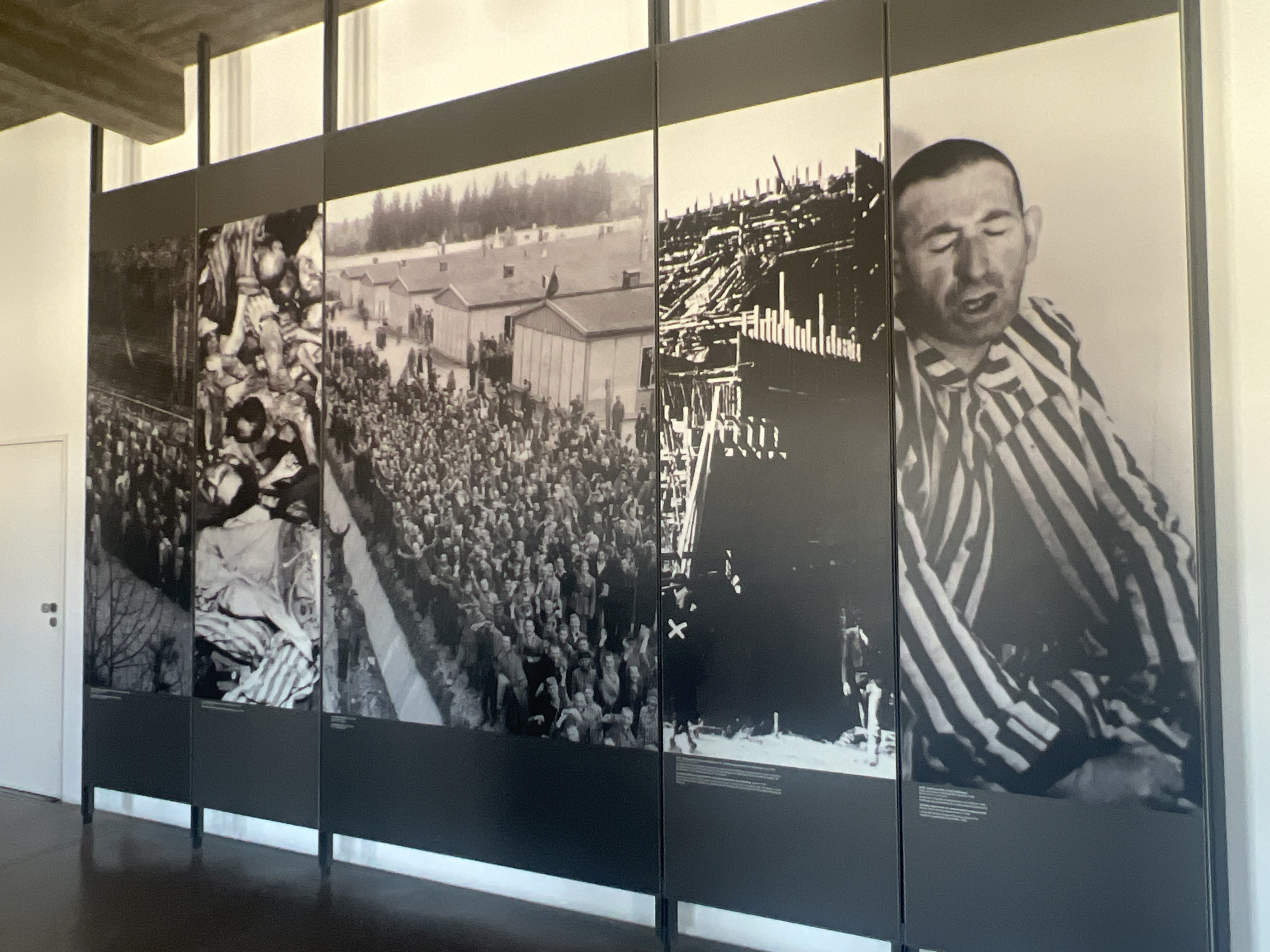 The image displays a section of an exhibition in Dachau, Germany, featuring a series of large black and white photographs mounted on dark panels. The photographs depict historical scenes, likely related to the Dachau concentration camp.
The leftmost panel shows a close-up of many people in striped uniforms, their bodies tightly packed together. The next panel reveals rows of barracks with people gathered outside and in front of them, set against a backdrop of trees and a forest. This panel appears to show a wider view of a camp or settlement. The third panel from the left shows a dense crowd of people in what appears to be an outdoor area, possibly a gathering or assembly. The fourth panel features a close-up portrait of a man in a striped uniform with his eyes closed and mouth open, appearing to be in distress. The rightmost panel is a close-up of the man's striped uniform.
The exhibition is housed in a well-lit indoor space with a polished dark floor. The panels are arranged in a line, forming a continuous display. White walls are visible to the left of the exhibition, and a door with a handle is also present on the far left. The ceiling features exposed beams and lighting fixtures. The overall presentation is somber, reflecting the historical nature of the images.