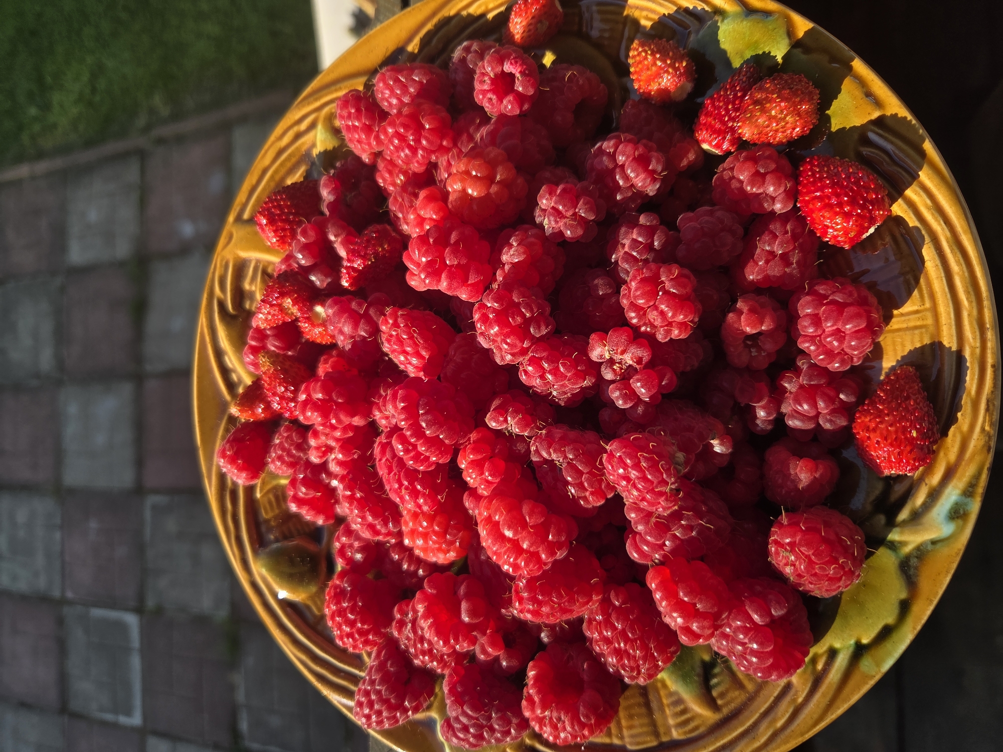 A close-up, overhead shot features a bright yellow ceramic plate overflowing with ripe raspberries and a few small wild strawberries. The plate is adorned with raised, leaf-like designs in shades of green and yellow. The berries are a vibrant red, with some showing the characteristic drupelets of raspberries and others the bumpy texture of wild strawberries. The plate rests on a surface of interlocking grey and brown pavers, suggesting an outdoor setting. Sunlight casts distinct shadows across the pavers and onto the plate, indicating a sunny day. In the background, to the right, a patch of bright green grass is visible, further confirming the outdoor location. The overall scene evokes a sense of abundance and summer harvest. The location of Frolovo, Russia is not discernible from the visual information provided in the image.