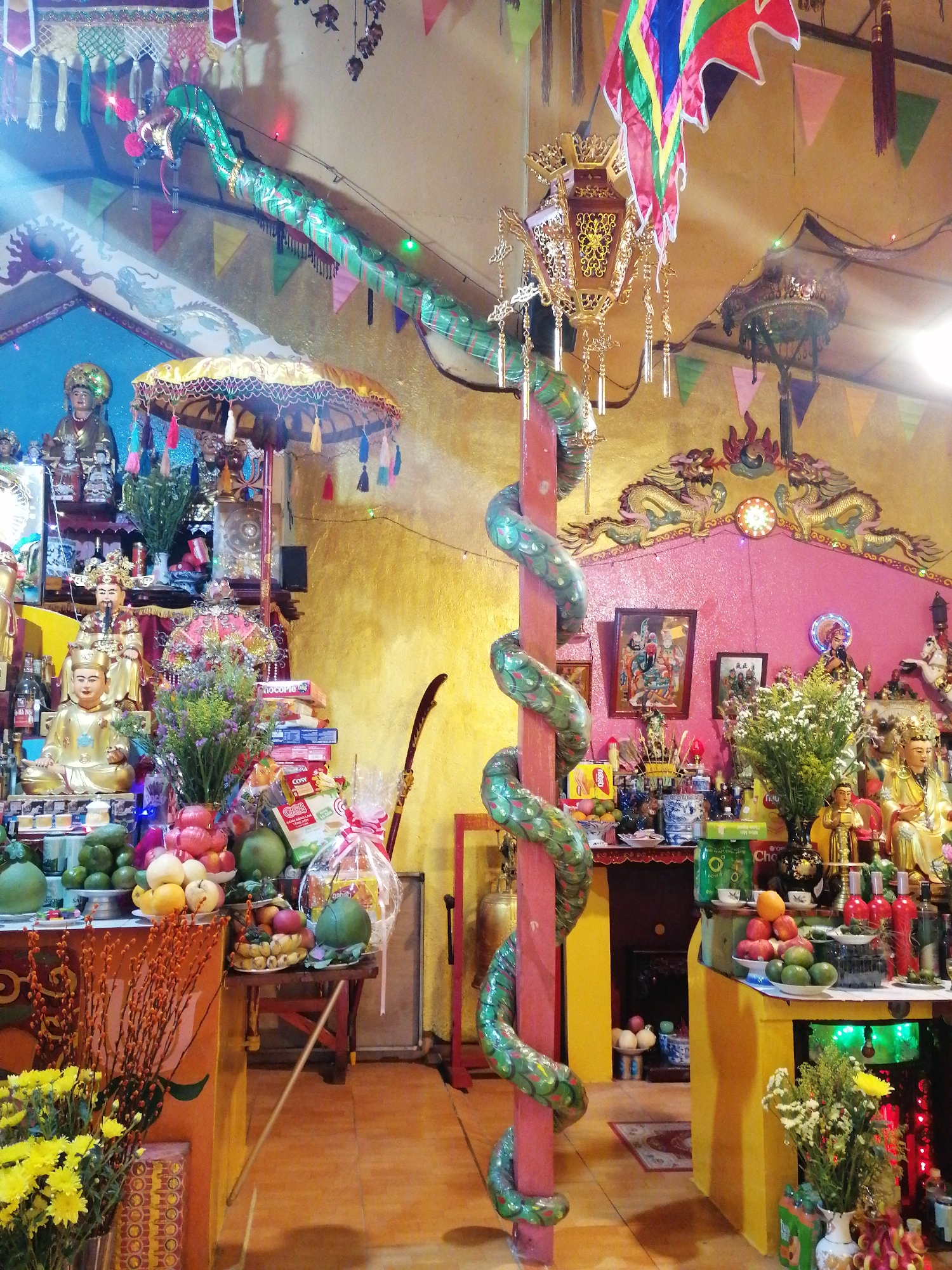 This image captures a vibrant and ornate indoor scene, likely a religious shrine or temple in Phường Xuân Hương - Đà Lạt, Vietnam, bustling with decorations and offerings. The setting features multiple tiered altars adorned with numerous golden statues of deities or revered figures, including what appear to be Buddha or Bodhisattva figures and other deities.
The space is richly decorated with a variety of festive elements. A prominent green serpentine dragon figure, illuminated with lights, snakes across the upper part of the back wall. Another large, green, segmented serpentine figure is wrapped around a central red wooden pillar. Colorful pennants, flags, and banners hang from the ceiling and walls, along with an intricately carved golden lantern featuring tassels. The back walls are painted in bright yellow, pink, and blue, with the pink section displaying elaborate golden friezes depicting dragons.
Abundant offerings are meticulously arranged on the altars and tables. These include fresh fruits like pomelos, oranges, apples, bananas, and pomegranates. Various floral arrangements, such as yellow chrysanthemums and pussy willow branches, suggest a celebration, possibly Tet (Lunar New Year) due to their common use during this festival in Vietnam. Packaged goods like "ChocoPie," "COSY," "Gool," and "Nesvita" are also part of the offerings, alongside bottles, possibly of beverages or spirits, and other ceremonial items. Framed religious artworks hang on the pink wall.
The scene conveys a strong sense of reverence and festivity, characteristic of a significant religious or cultural event. The artificial lighting, including colorful LEDs, enhances the celebratory atmosphere.