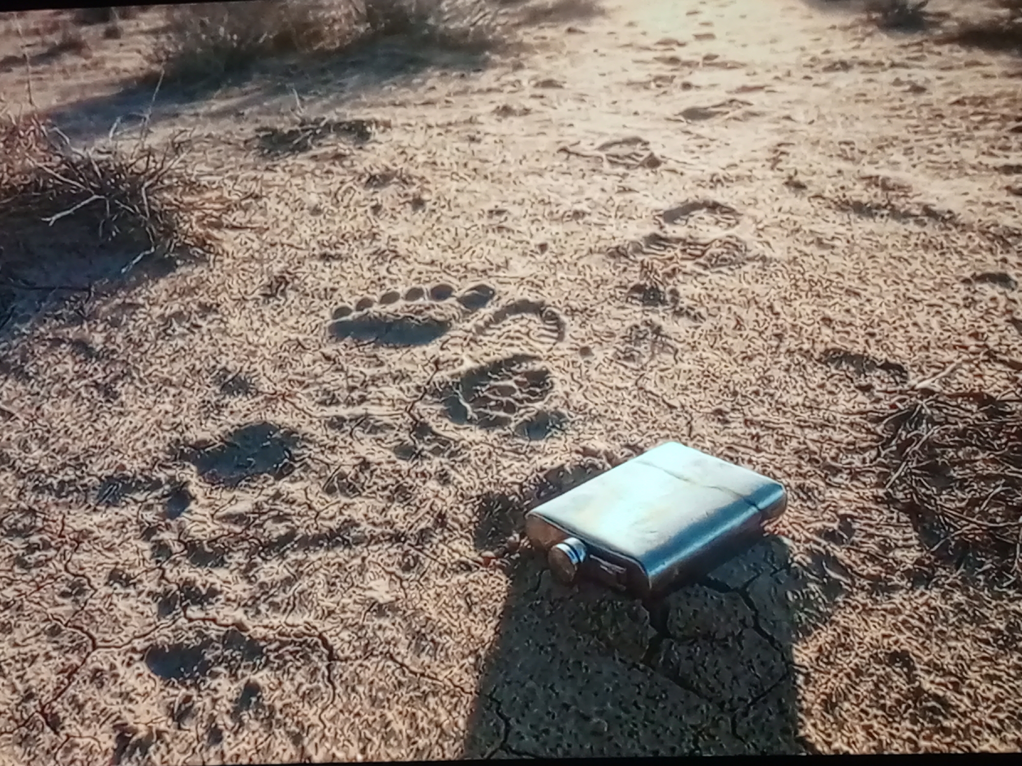 A metallic flask sits on cracked, dry earth. Footprints are visible in the dirt around the flask, suggesting recent passage. Sparse, dry vegetation dots the landscape. The scene is set in an arid, outdoor environment, possibly a desert or similar barren area. The lighting indicates it is daytime, with a shadow cast by the flask.