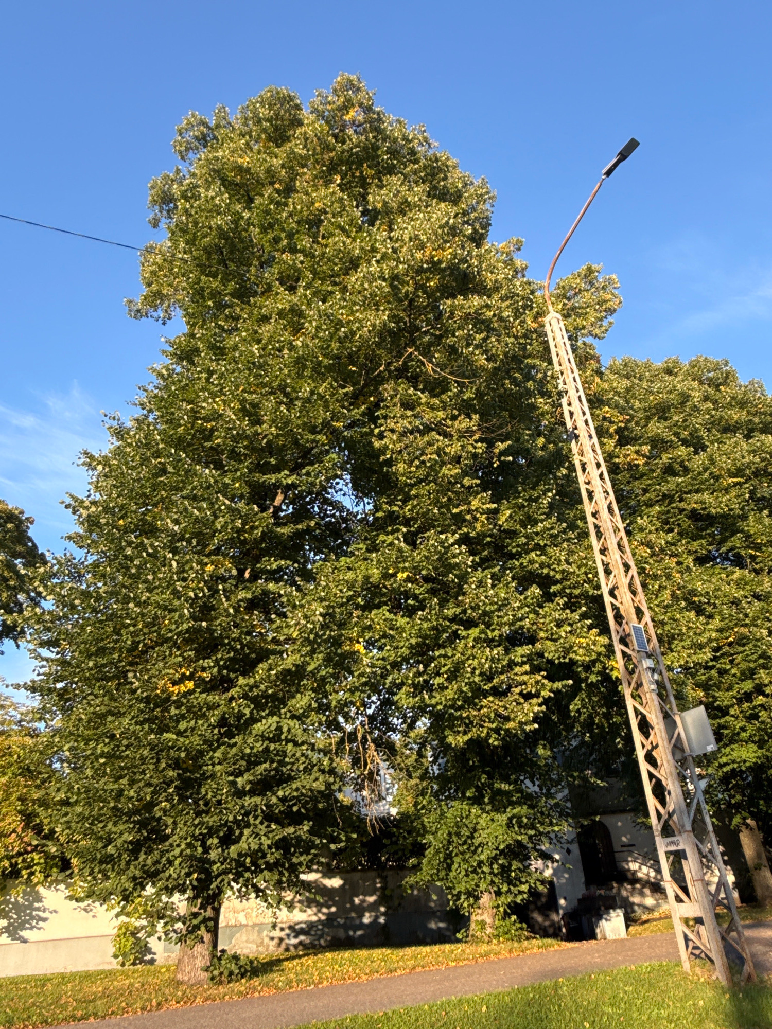 This is a ground-level, eye-level outdoor photograph taken during the day. The scene features a tall tree with green foliage, some leaves showing early signs of autumn color, and a large street lamp with a solar panel attached to its pole. The street lamp is on the right side of the frame, angled towards the sky, and appears to be made of metal. A thin wire runs across the upper left portion of the image, likely a power or telephone line. In the background, there are more trees, the side of a building with an arched doorway, and a pathway. The ground is covered with grass and fallen leaves, indicating it is likely autumn. The sky is a clear, bright blue with a few wispy clouds visible. The overall impression is a slightly overcast but sunny day in a public space, possibly a park or a residential street in Tallinn, Estonia.
