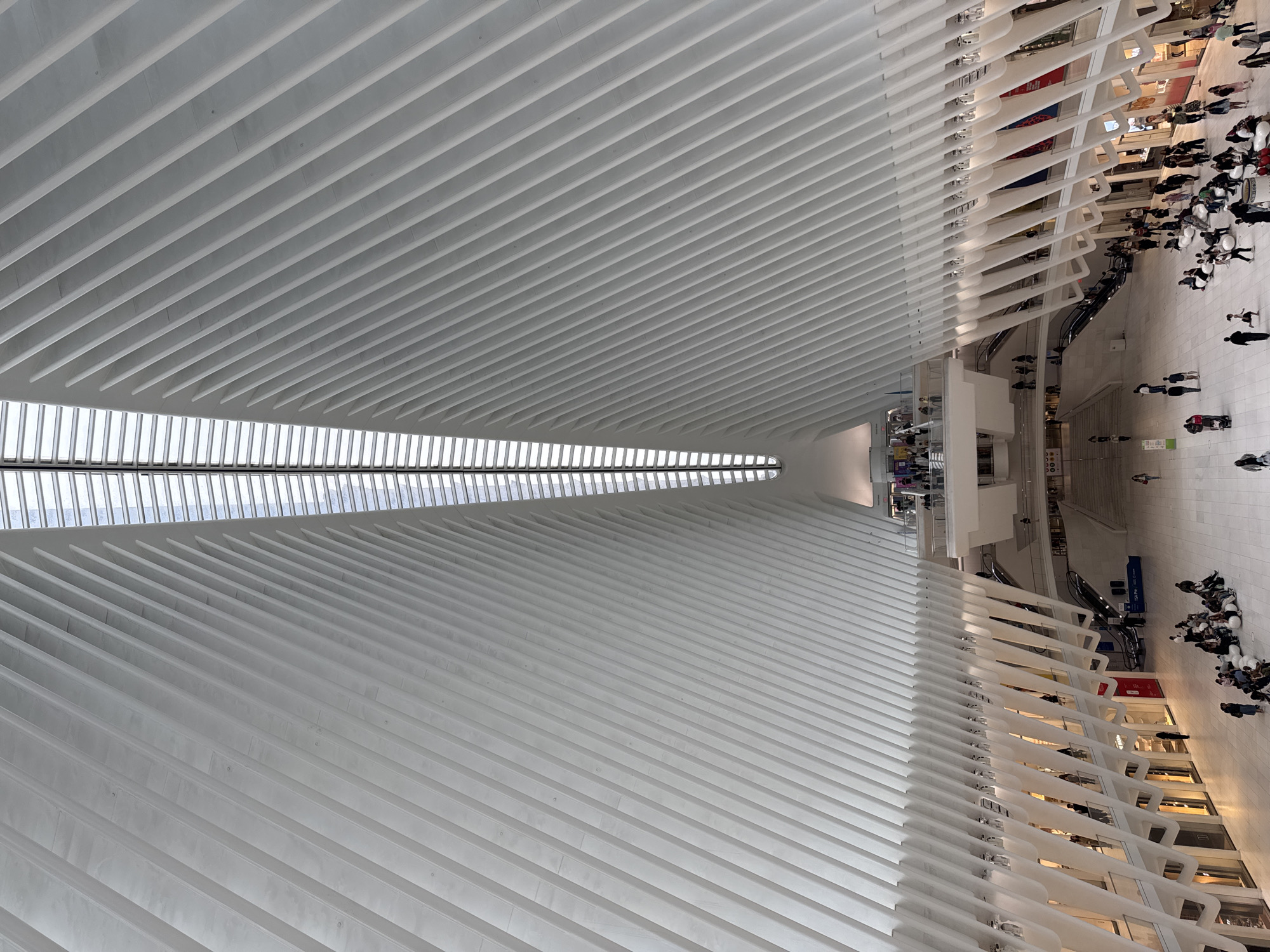 The image shows the interior of the Oculus, a transportation hub and shopping mall in the World Trade Center complex in Lower Manhattan, New York City. The view is directed upwards towards the distinctive white ribbed ceiling, which forms a high, arching structure. A long, narrow skylight runs along the peak of the ceiling, allowing natural light to filter into the space.
Below the ceiling, the open interior space of the Oculus can be seen, with multiple levels and walkways lined with shops and stores. Groups of people, possibly shoppers and tourists, are visible moving through the space, suggesting a bustling environment. The overall impression is of a modern, airy, and spacious architectural landmark.