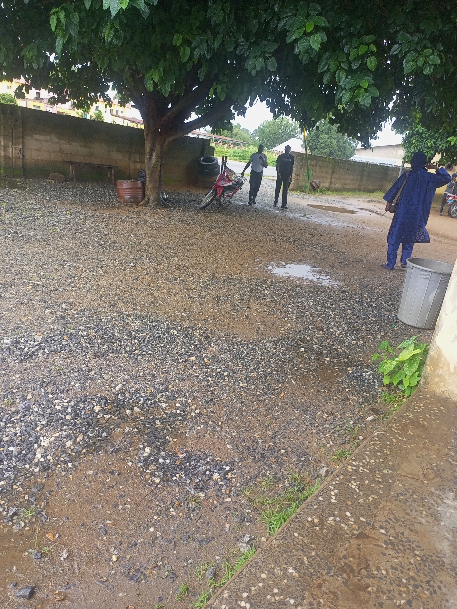 The image depicts an outdoor scene in Serti, Nigeria, characterized by a gravel-covered yard and the presence of a large tree with dense foliage. A concrete wall runs along the background, with buildings visible beyond it. In the foreground, a person in blue traditional attire stands near a large grey trash can. Two men are walking away from the camera toward the left side of the image, where a motorcycle is parked. Other motorcycles are visible in the background. The ground appears wet, suggesting recent rainfall, with several puddles of water scattered across the gravel. A wooden bench and a metal barrel are situated near the base of the tree. The overall environment suggests a somewhat informal or utilitarian outdoor space.