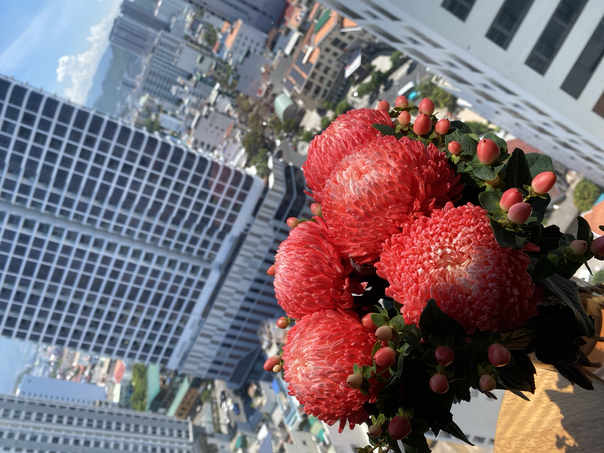 A close-up shot features a bouquet of vibrant red, chrysanthemum-like flowers with delicate, feathery petals and small, light pink berries. The bouquet is arranged in a vase, partially visible, and sits on a wooden surface in the foreground. In the background, a cityscape unfolds, with numerous high-rise buildings under a clear, bright sky. The architectural style of the buildings suggests a modern, urban environment. The scene is likely captured from an elevated position, possibly a balcony or window of one of the buildings, offering a panoramic view of the city of Nha Trang Ward, Vietnam.