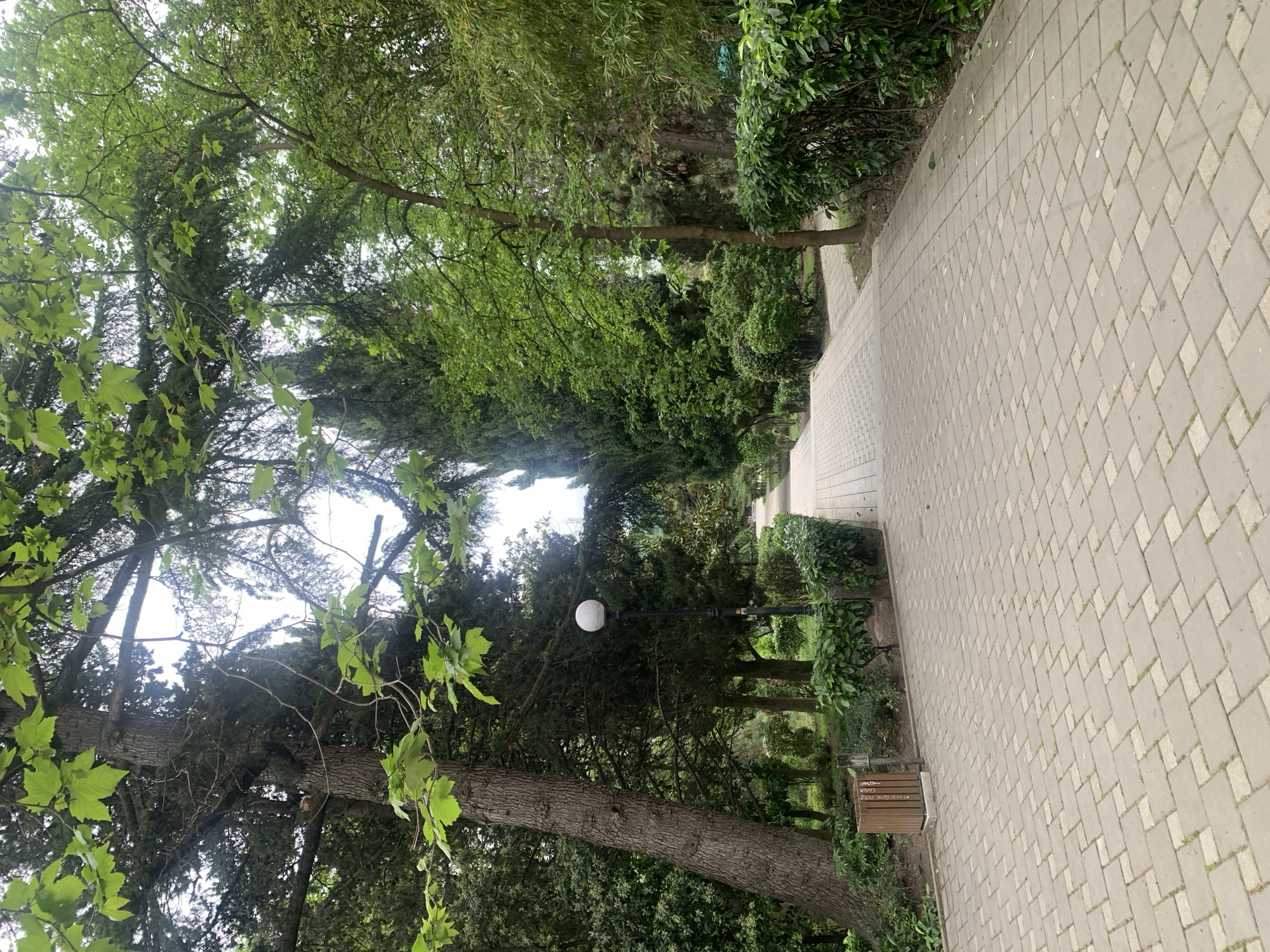 The image depicts a park pathway made of gray stone blocks. The pathway is flanked by greenery including trees and bushes. A streetlamp stands amidst the trees.