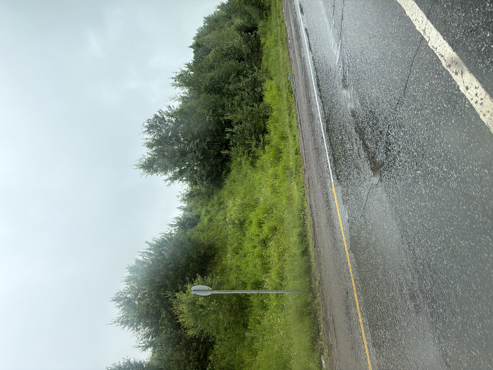 The image depicts a roadside scene in Кукуи, Russia, on an overcast day. The road, which appears wet from recent rain, is made of asphalt and marked with a white line and a yellow dividing line. Puddles of water are visible on the road's surface. To the left of the road is a grassy verge transitioning into a dense forest of green trees. A silver-colored, oval-shaped signpost stands in the grass near the edge of the trees. The sky is a uniform light gray, indicating cloudy weather, likely in the late morning or early afternoon given the diffused light. The overall mood is somber and tranquil, characteristic of a cloudy, post-rain day in a rural or semi-rural setting. No people are visible in the frame.