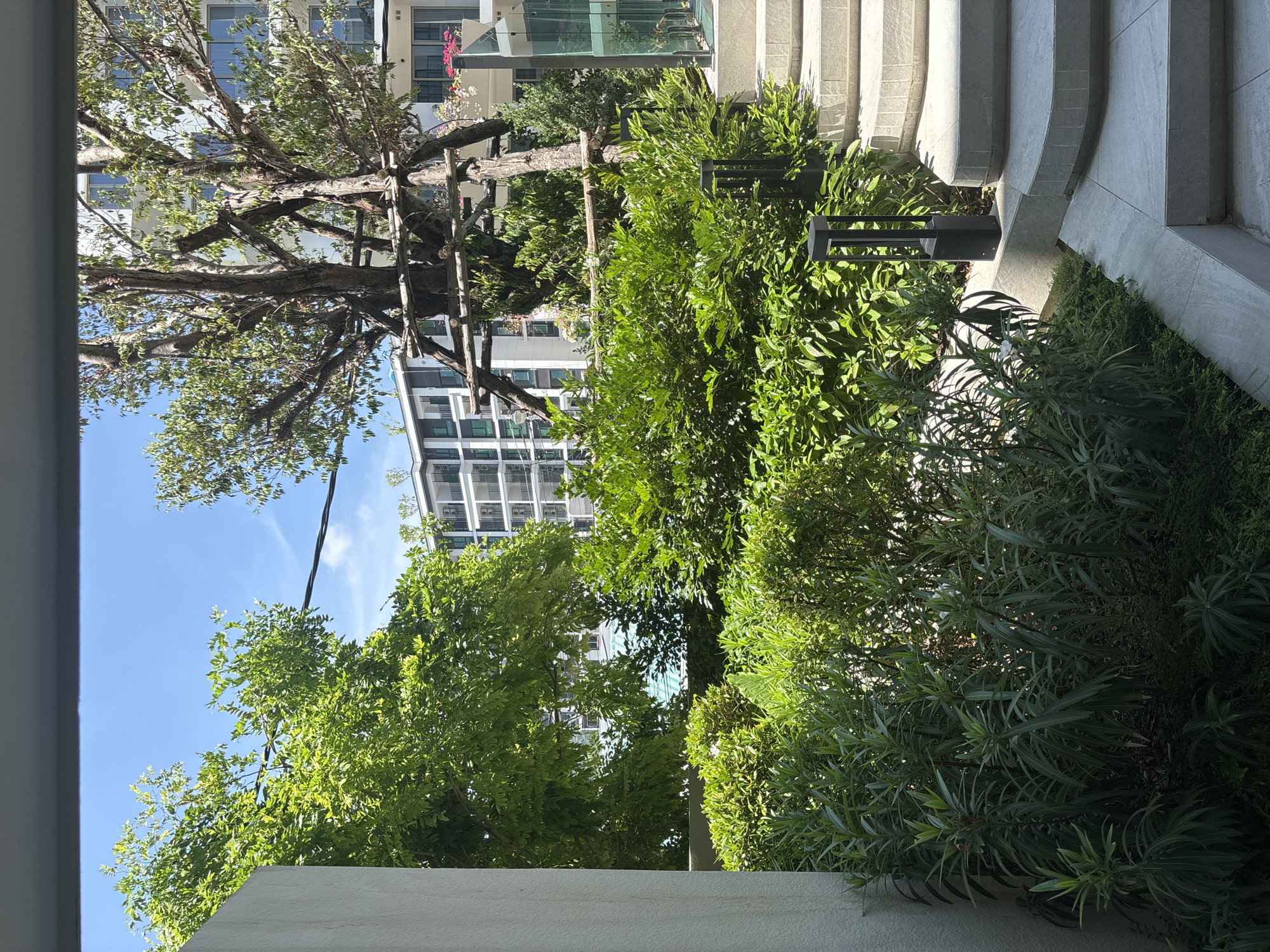 The image shows a view in Choeng Thale, Thailand. Lush green vegetation dominates the foreground. Several types of bushes and trees are visible, including one tree supported by wooden beams. In the mid-ground, there is a building with many windows visible through the trees. The sky is blue with some wispy clouds. A set of stone steps is on the right side of the frame, ascending toward the building. A black lamp post is visible among the greenery. The view is partially framed by a white wall at the bottom and what appears to be part of a building structure on the left side.