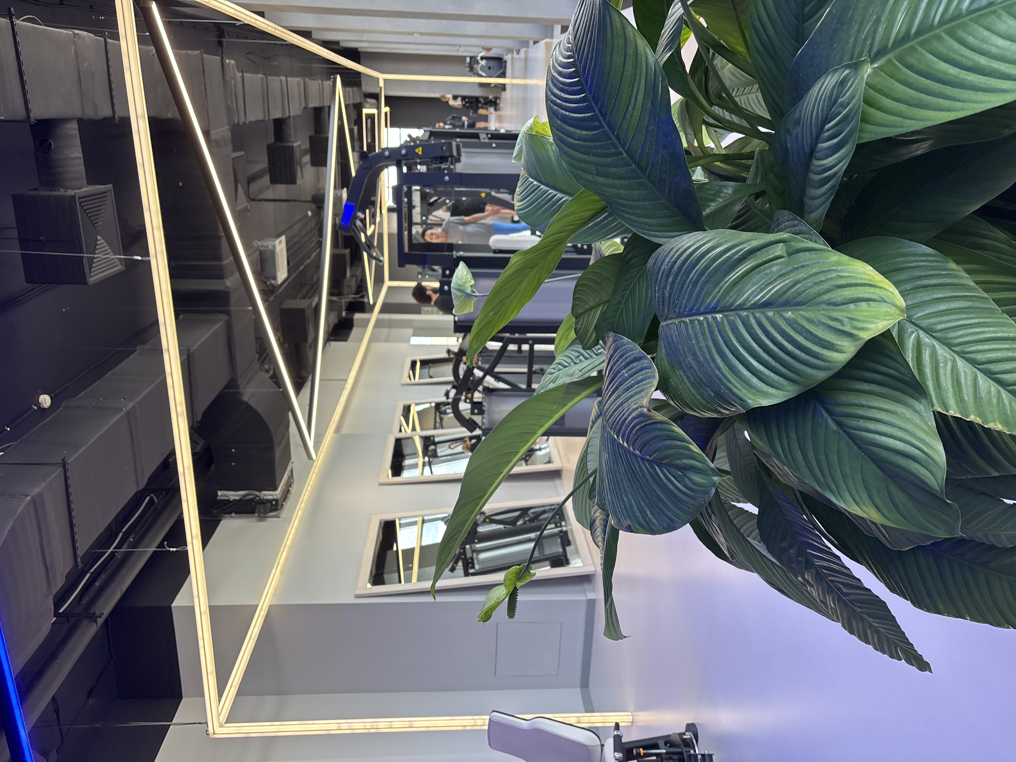 The image shows the interior of a modern gym, possibly located in Monolit, Russia. The gym has a sleek design with high ceilings, exposed ductwork, and sleek lighting fixtures. In the foreground, a large, lush green plant with broad leaves dominates the frame, obscuring a portion of the gym equipment and some individuals.
In the background, several gym machines are visible, including what appears to be a functional trainer. Two individuals are interacting with the equipment; one person is standing and looking at the machine, while another individual is behind the machine, possibly operating it. Further in the background, other people can be seen, engaged in various gym activities. Mirrors are mounted on the walls, reflecting the gym environment. The floor is a light, reflective surface, and the walls are a neutral gray color. The overall ambiance suggests a clean, well-lit, and contemporary fitness facility.