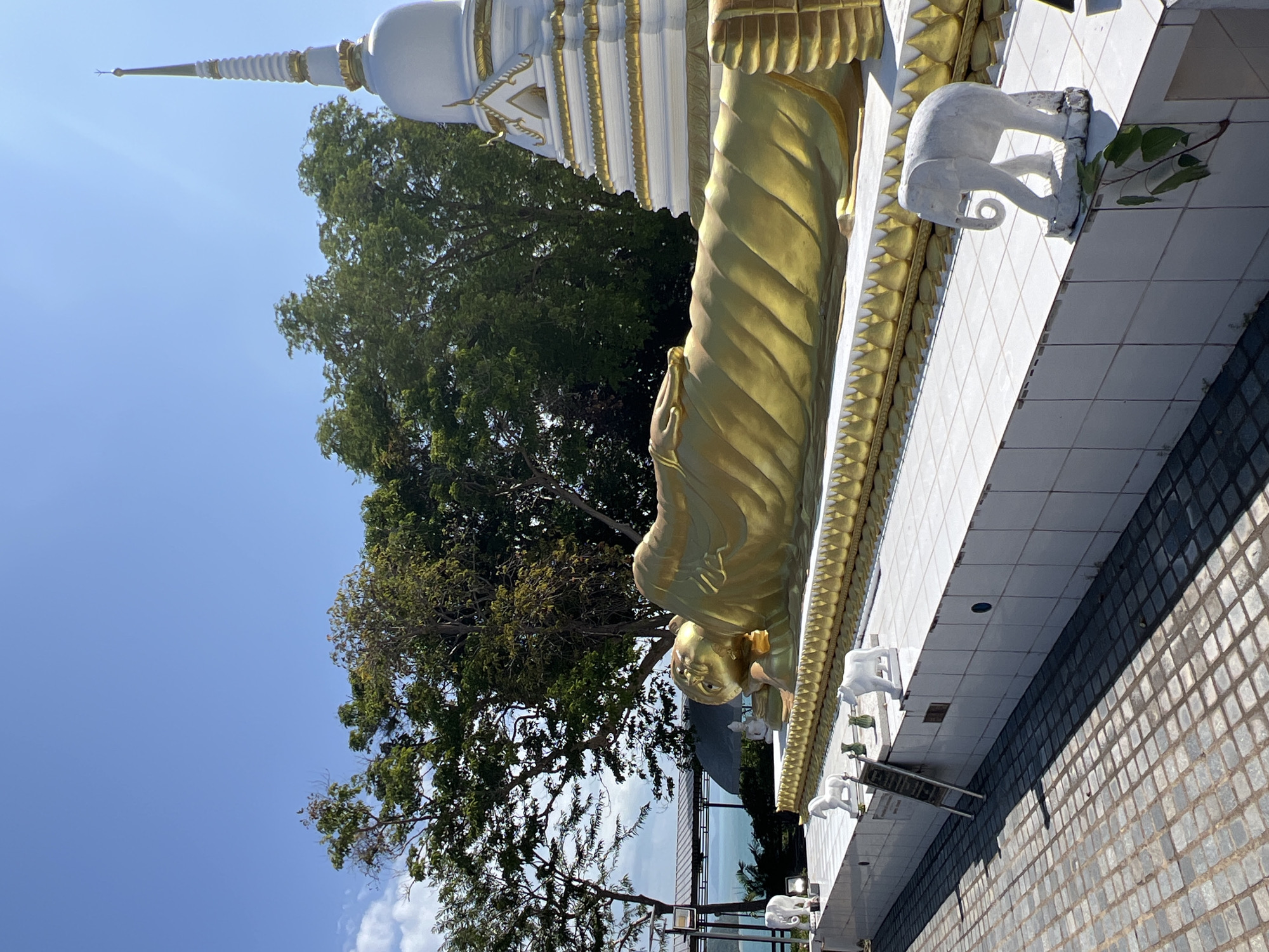 A large, reclining golden Buddha statue is displayed outdoors on a raised platform, with its head resting on its arm. To the right of the Buddha statue is a white, multi-tiered stupa adorned with gold trim. The platform is lined with white tiles and decorated with small, white elephant statues. In the background, lush green trees and a body of water are visible, under a clear blue sky. The foreground shows a patterned tiled walkway. The scene appears to be at a temple or cultural site in Ko Samui District, Thailand.