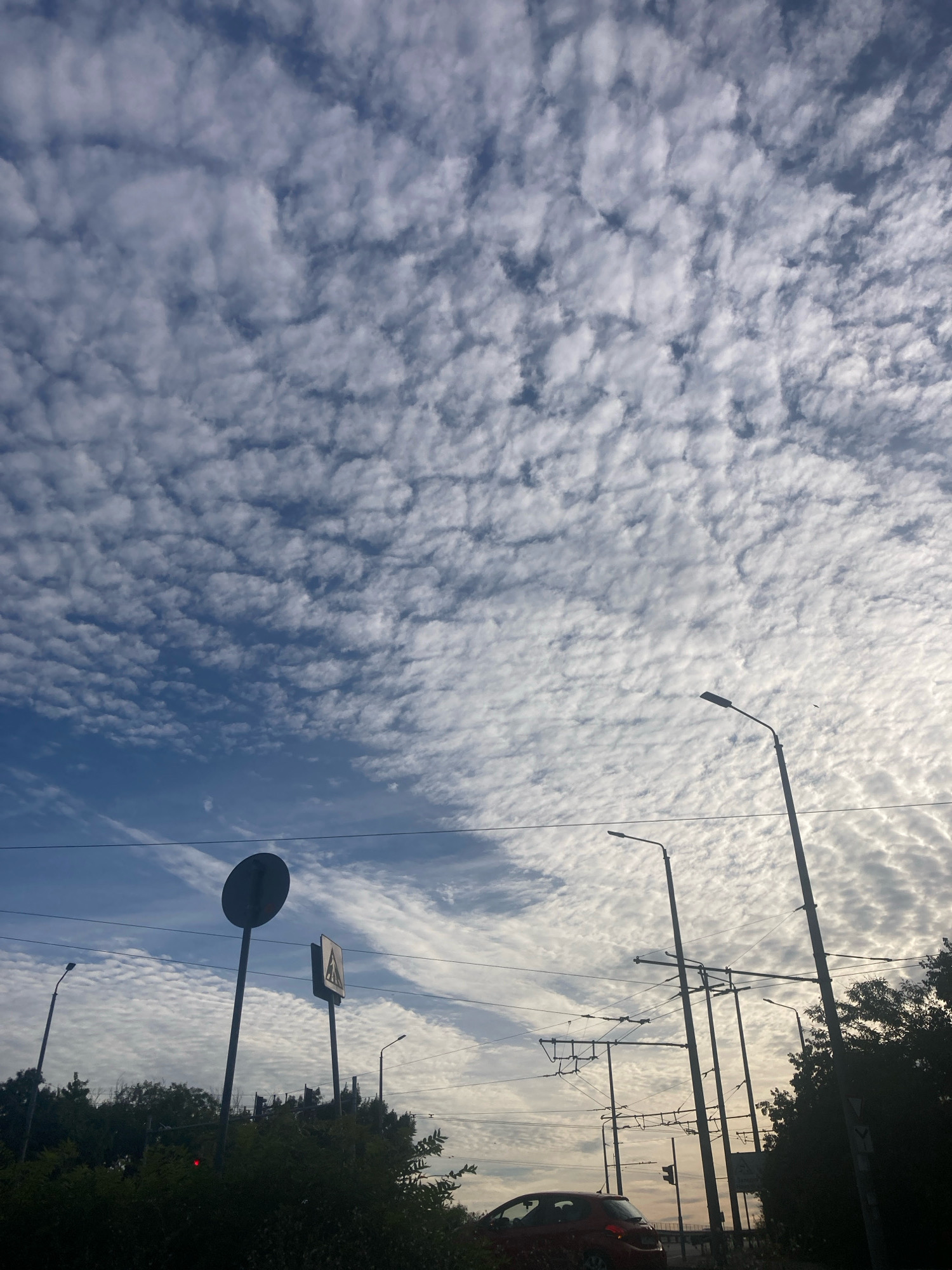 The image captures a view of the sky and street infrastructure in Burgas, Bulgaria. The sky is filled with scattered altocumulus clouds, creating a textured pattern against the blue. Several streetlights and utility poles dominate the mid-ground and foreground. There is a pedestrian crossing sign visible. In the lower right portion of the image, the rear of a red car is partially visible. The scene appears to be a street or roadway, suggested by the presence of the road signs, streetlights, and car. The foliage of trees is visible along the bottom and right edges of the frame.