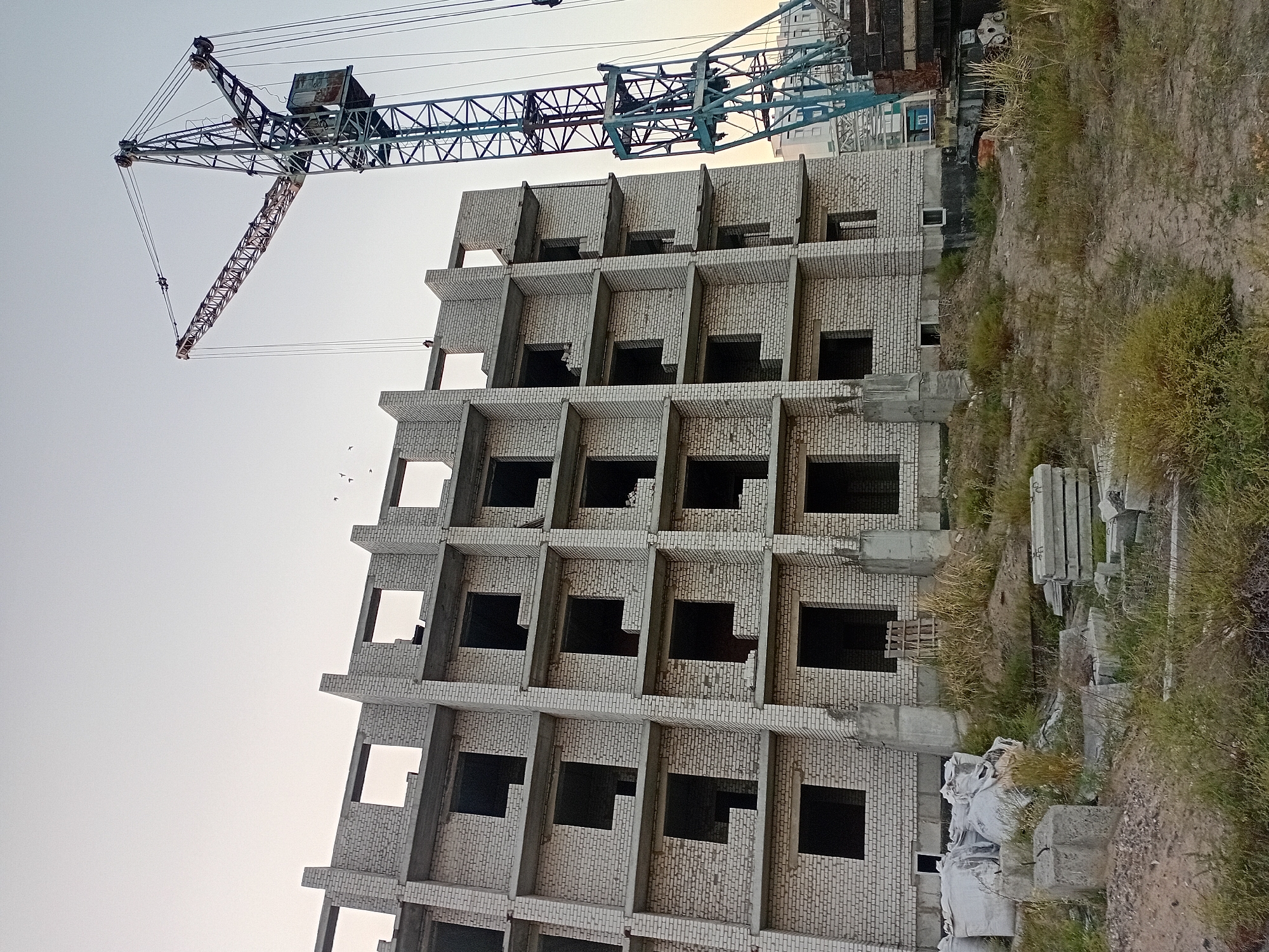 The image depicts an unfinished multi-story building constructed with white bricks in the city of Semey, Kazakhstan. The building has a repetitive facade with numerous square openings for windows and balconies, suggesting a residential or commercial complex under construction. A large industrial crane, primarily dark blue with some rust-colored elements, stands to the right of the building, its boom extending over the structure. The ground surrounding the building is uneven, covered with dry grass, dirt, and construction debris, including concrete blocks and white sacks. The sky is clear and pale, indicating either early morning or late evening light. Several small birds are visible in the upper portion of the frame, flying near the building and the crane. The scene conveys a sense of ongoing development or a paused construction project within an urban or semi-urban setting.