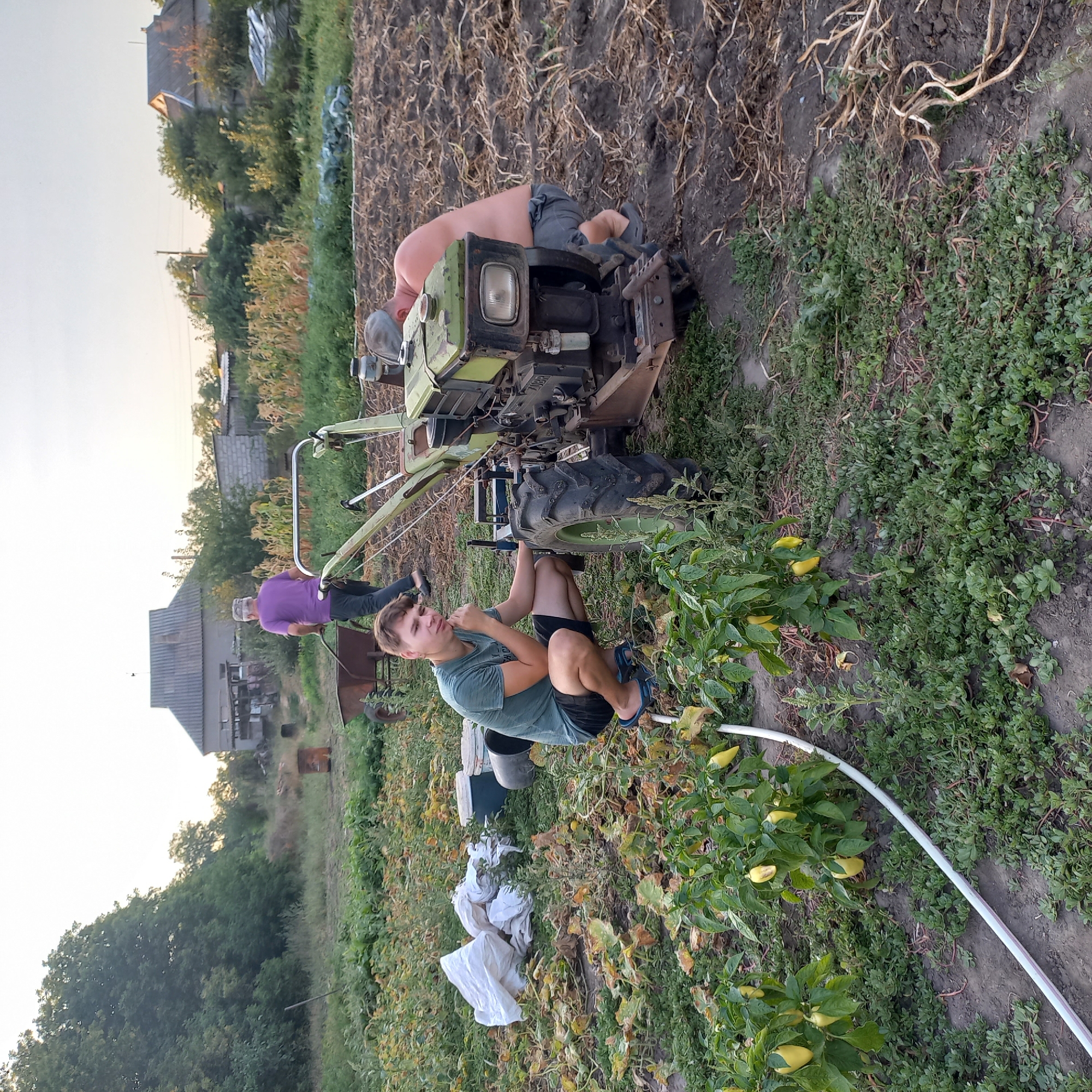 In Klyntsi, Ukraine, on a bright, clear day, a rustic scene unfolds in a garden. In the foreground, a young man with light brown hair, wearing a green t-shirt and black shorts, crouches near a weathered, green-and-rust-colored walk-behind tractor. He rests his chin on his hand, looking towards the camera. Beside him, a shirtless man with a grey cap is also crouched, his back to the camera, working on the tractor.
Behind the tractor, another man in a purple t-shirt is pushing a rusty wheelbarrow. In the background, a modest house with a grey, sloped roof and a smaller block building stand amidst trees and vegetation. The ground is a mix of tilled earth, dry plant debris, and lush green ground cover, with a row of plants bearing yellow peppers visible in the lower left corner. A white hose snakes across the ground, contributing to the agricultural atmosphere. The overall impression is one of diligent labor amidst a serene, rural setting.