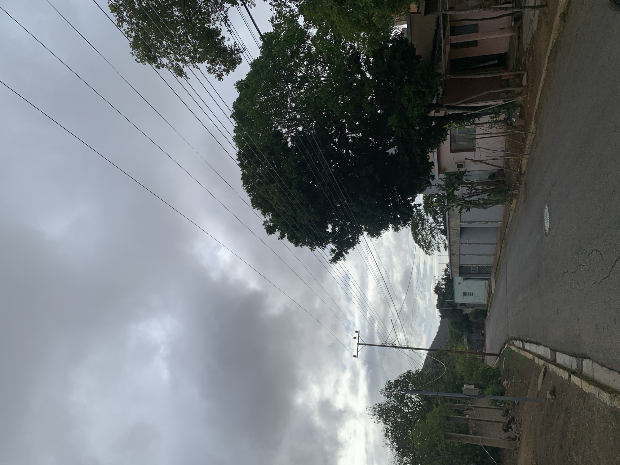 The image displays an overcast street scene, likely in a rural or semi-urban setting, consistent with the specified location of La Tagua, Venezuela. The sky is filled with heavy, dark grey clouds, indicating cloudy weather, with some brighter areas suggesting diffused daylight.
Numerous black power lines stretch across the frame, originating from a wooden utility pole with crossarms and insulators positioned on the right side. A large, densely foliated green tree dominates the upper right portion of the image. Along the right, a paved road with visible cracks curves gently. It is bordered by a concrete curb.
Several modest, single-story houses are visible along the roadside. One house has a faded pinkish exterior and a fence constructed from thin wooden posts. Further down, a grey, box-like building is also present. In the background, a large hill or mountain rises under the cloudy sky, hinting at the area's geography.
No people or specific activities are visible, presenting a static landscape view. The time of day appears to be daytime, possibly late morning or afternoon, given the overall diffused lighting from the overcast sky. There is no visible text or signage. The scene conveys a quiet, somewhat rustic environment under a cloudy sky.