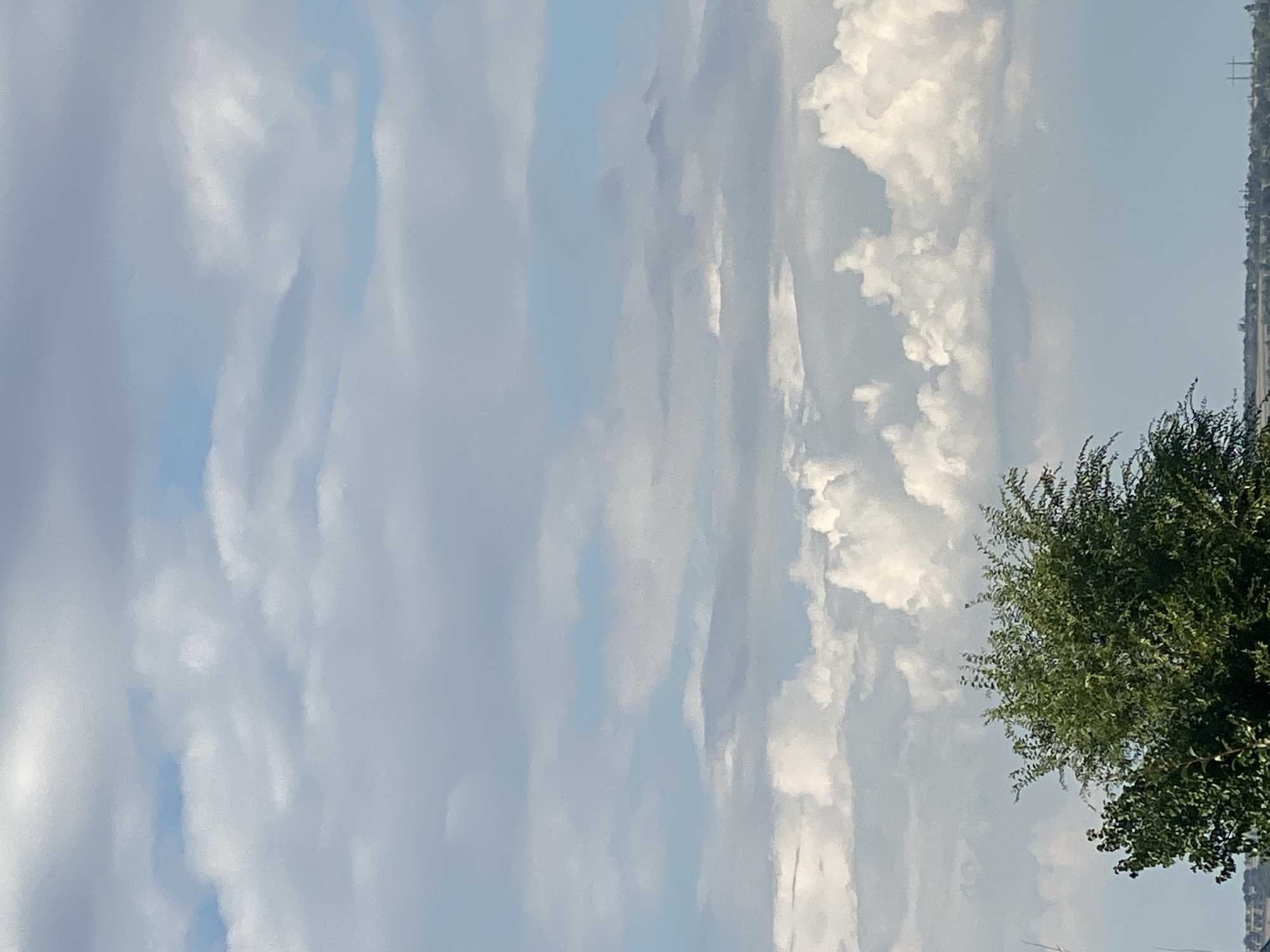 This image shows a view of the sky above Cairaclia, Moldova, with a tree in the foreground. The sky is filled with various types of clouds, ranging from wispy cirrus to larger cumulus formations, interspersed with patches of blue sky. The sun is not directly visible, but its light illuminates the clouds, creating a bright and dynamic scene. The tree in the foreground is a lush green deciduous tree, its branches reaching towards the sky. The background shows a distant landscape, which includes some low buildings and power lines, indicating a semi-urban or rural setting. The overall impression is one of a pleasant day with active cloud formations.