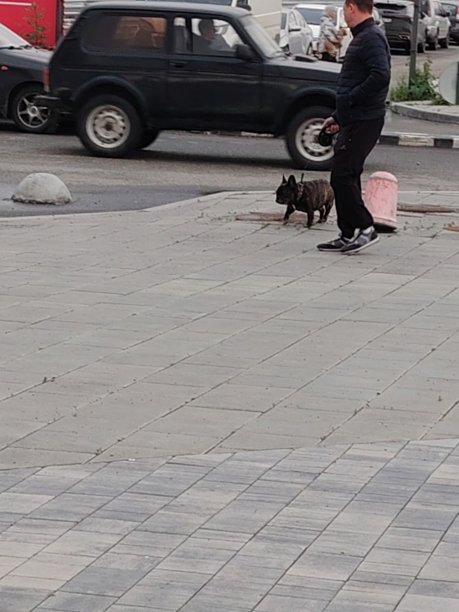 A man in a dark puffer jacket and black pants, wearing athletic shoes, is walking a small brindle French bulldog on a leash on a paved sidewalk. The man is holding the leash in his right hand. The dog is in front of him, looking to the left. Behind them, a dark green Niva SUV is stopped on the road. The vehicle has tinted windows. In the background, other cars are visible. The scene appears to be a street in Yekaterinburg, Russia, with a typical urban sidewalk made of square concrete pavers. A rounded concrete bollard is present on the sidewalk near the man and dog. The lighting suggests it is daytime.