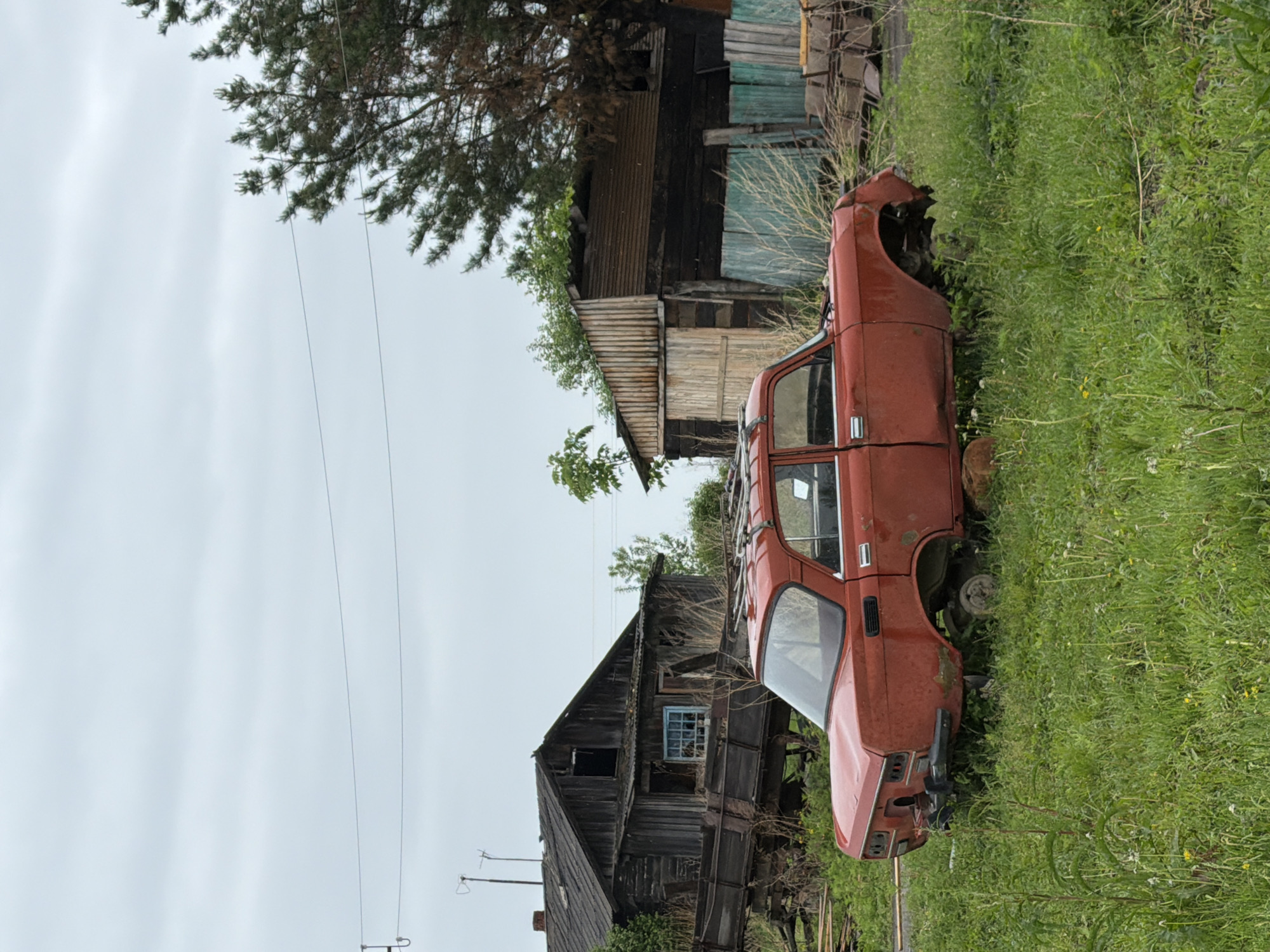 An abandoned, heavily rusted, red four-door sedan, likely a Moskvich model, rests in an overgrown grassy field in Pronkino, Russia, under an overcast sky. The vehicle is missing its wheels, front bumper, and rear bumper, and exhibits significant body damage and a visible roof rack. To the left, a dilapidated, dark wooden house with a damaged roof, featuring a light blue window frame and antennae, stands partially obscured by a large wooden wagon or trailer leaning against it. To the right, another weathered wooden structure, possibly a shed, with a corrugated metal roof and a light-colored wooden door, is partially visible behind a section of a green and white wooden fence. A pine tree with both green and brown foliage is situated behind this structure. Overhead, utility wires traverse the light grey, cloudy sky. No individuals or active subjects are present.