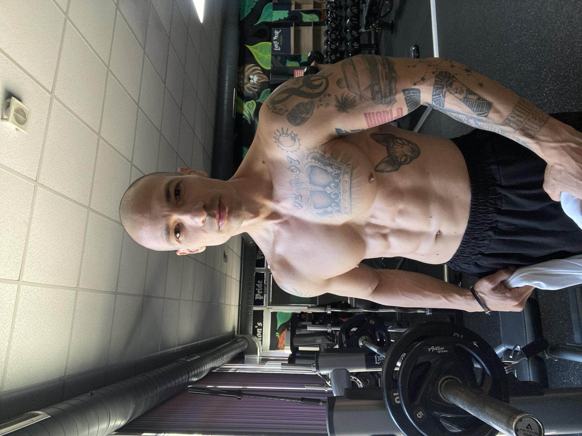 The image depicts a muscular, bald man with numerous tattoos posing in a gym. He is shirtless, wearing dark athletic shorts. His tattoos are prominent on his arms, chest, and upper torso, depicting various designs including a crown, a cat, and lettering. The gym environment includes weightlifting equipment such as barbells with weight plates. In the background, there is a mural on the wall. Based on the "LION'S PRIDE GYM" branding visible on the weight plates and wall design, it can be assumed the location is in the Lion's Pride Gym. Without additional information, the city and location cannot be precisely ascertained.