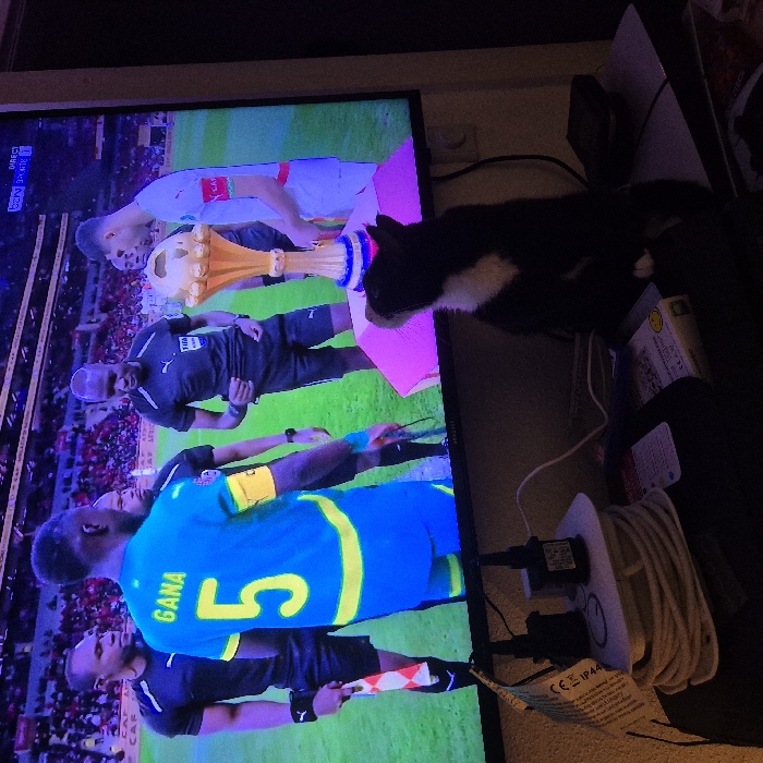 A television screen displays a soccer match. On screen, several players and a golden trophy are visible. A black and white cat is perched on the edge of the screen, appearing to interact with the image, possibly drawn by the trophy. Beneath the TV, there's a power strip and coiled cables. The setting seems like a casual living space, with some items stacked behind the TV.