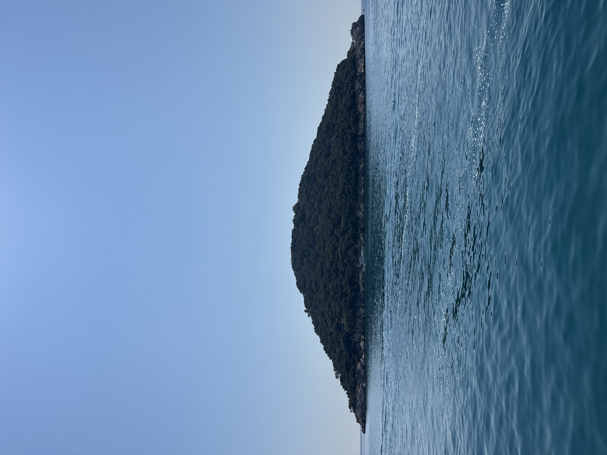The image depicts a vast expanse of the sea meeting a densely forested, rocky hillside. The water, a deep blue, shows gentle ripples and a scattering of sunlight reflecting off its surface, suggesting a bright, clear day. The hillside, covered in a thick carpet of dark green trees, rises steeply from the water's edge, with glimpses of rugged rock formations. The sky above is a pale, cloudless blue, indicative of fair weather and likely daytime, possibly late afternoon or early morning due to the quality of light.
The orientation of the image is such that the hillside and sea occupy the right half, while the sky dominates the left. The composition gives a sense of scale, with the natural elements appearing immense and powerful. The scene evokes a feeling of tranquility and natural beauty, a serene coastal landscape. There are no visible people or man-made objects in the frame, emphasizing the untouched nature of the setting. The location is identified as Konyaaltı, Turkey, a region known for its beautiful coastline.