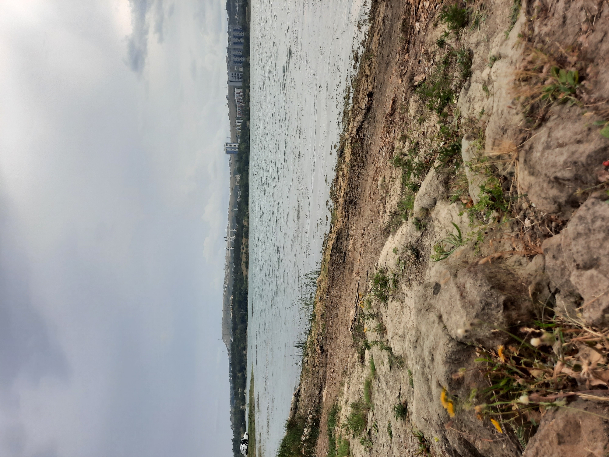 The image depicts a view of a body of water with a city skyline in the distance. The foreground is dominated by a rocky, uneven shoreline with sparse vegetation. Large, grey rocks are prominent in the lower section of the image, interspersed with dry grasses and a few small yellow wildflowers. The ground transitions from rocky terrain to dirt and sand as it approaches the water's edge.
The water itself is a muted blue-grey, with ripples visible across its surface, indicating a light breeze. Scattered along the water's edge and extending into the water are patches of what appear to be algae or aquatic plants.
In the middle ground, a dark line of trees separates the shoreline from the distant cityscape. The city skyline is composed of several modern buildings, primarily residential towers with light-colored facades. Some of these buildings are taller and more modern, while others appear older and shorter, clustered together on a gently sloping hillside.
The sky above is overcast, with a thick layer of grey clouds that diffuse the light, creating a somewhat somber atmosphere. The overall impression is one of a natural landscape meeting an urban environment under a cloudy sky. A white car is visible parked on the left side of the shore, near the tree line.