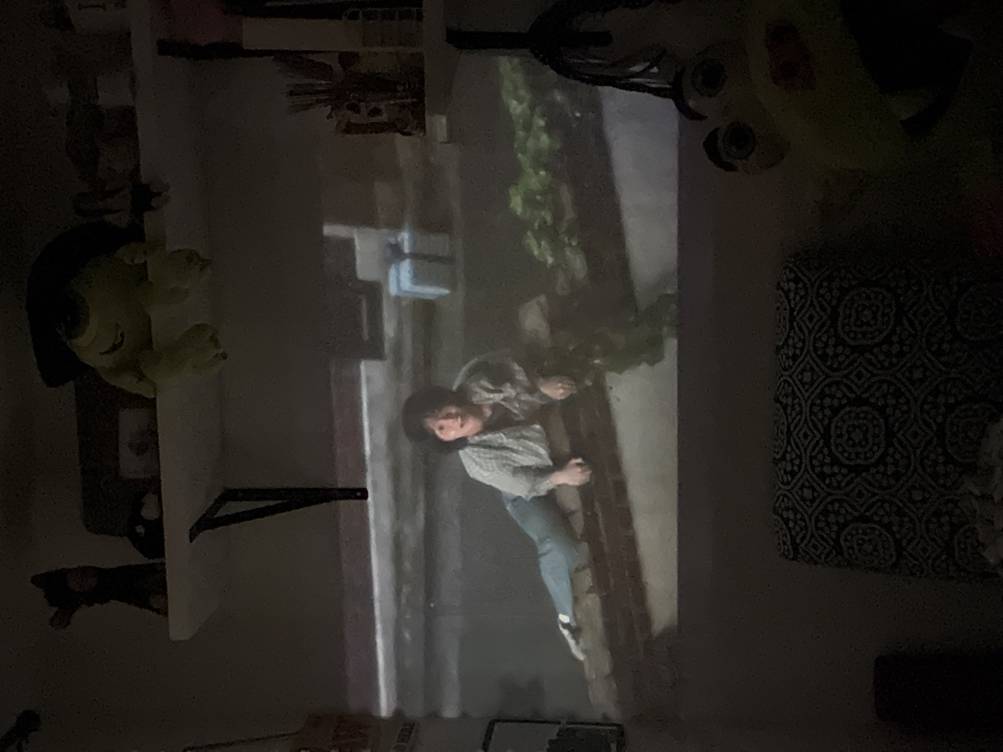 The image shows a projection of a scene onto a wall in what appears to be a room. A person is seen climbing up a wall with green foliage. The scene is dark and the quality of the projection is grainy. Other items in the room visible include a shelf, decorative items, and patterned fabric. The exact location of Mexico City, Mexico is not identifiable within this image.