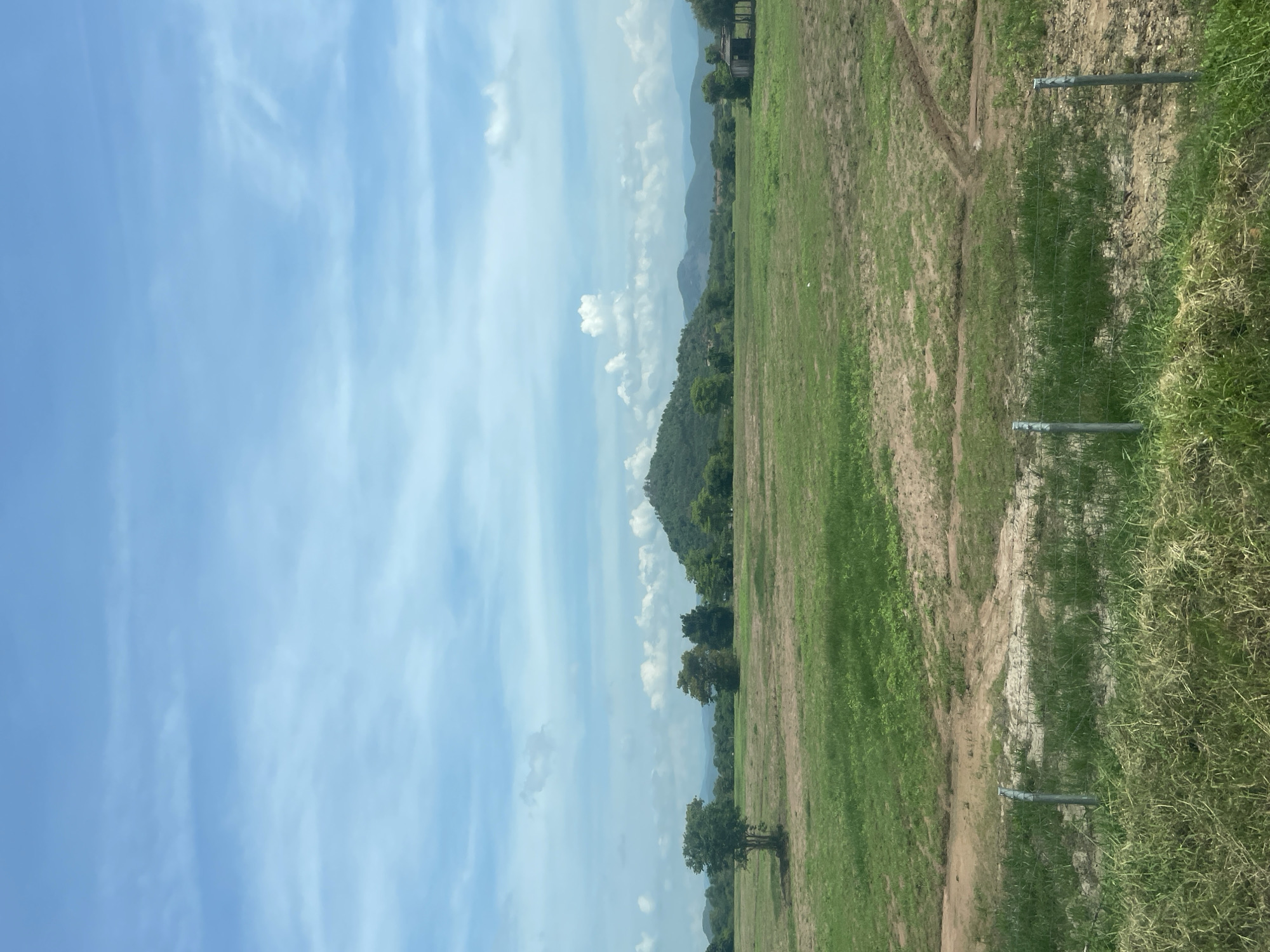 The image depicts a wide, open landscape under a partially cloudy blue sky. In the foreground, a grassy field is visible, with some patches of exposed soil and what appears to be a dirt path or rut. A wire fence with metal posts runs horizontally across the lower portion of the frame.
In the middle ground, the grassy field continues, dotted with several trees. A prominent, solitary tree stands to the left of the frame, with other clusters of trees scattered across the plains. In the distance, a conical, tree-covered hill or small mountain rises, with structures that may be buildings or shrines visible on its peak. Beyond the central hill, a range of hazy, blue-toned mountains stretches across the horizon. To the far right of the middle ground, a small, dilapidated wooden structure with a dark roof is partially obscured by trees.
The overall scene is one of a rural or undeveloped area, likely a natural landscape with some signs of human presence in the form of agricultural fields, isolated buildings, and a fence. The lighting suggests it is daytime, likely late morning or early afternoon, given the brightness and cloud formations. There are no people or animals visible in the image. The location is identified as Hong Son city, Vietnam, which aligns with the visual cues of lush vegetation, hilly terrain, and tropical cloud formations.