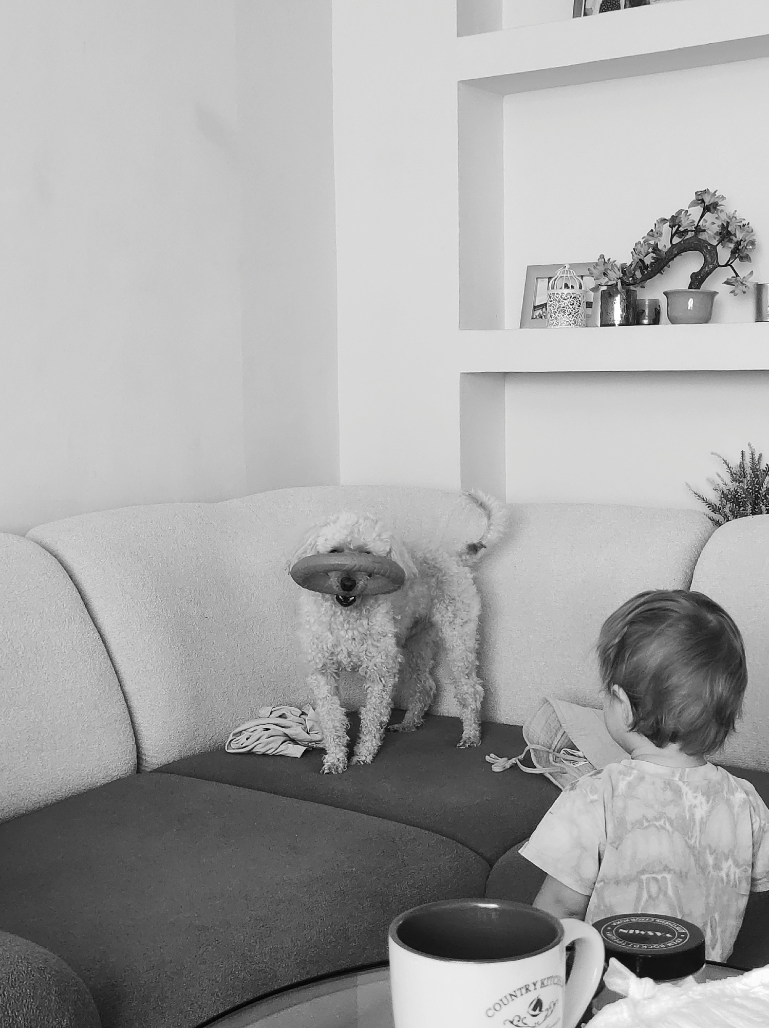 In an indoor setting, likely a living room, a fluffy white dog stands on a couch holding a round toy in its mouth. To the right of the dog, a young child with short brown hair sits facing away from the camera, wearing a tie-dye t-shirt. In the foreground, a white mug with text reading "COUNTRY KITCHEN" and a dark-colored lid are visible. The room features a sectional couch with a textured fabric and a built-in shelf unit on the wall above, decorated with small trinkets and a faux plant. The scene is captured in black and white.