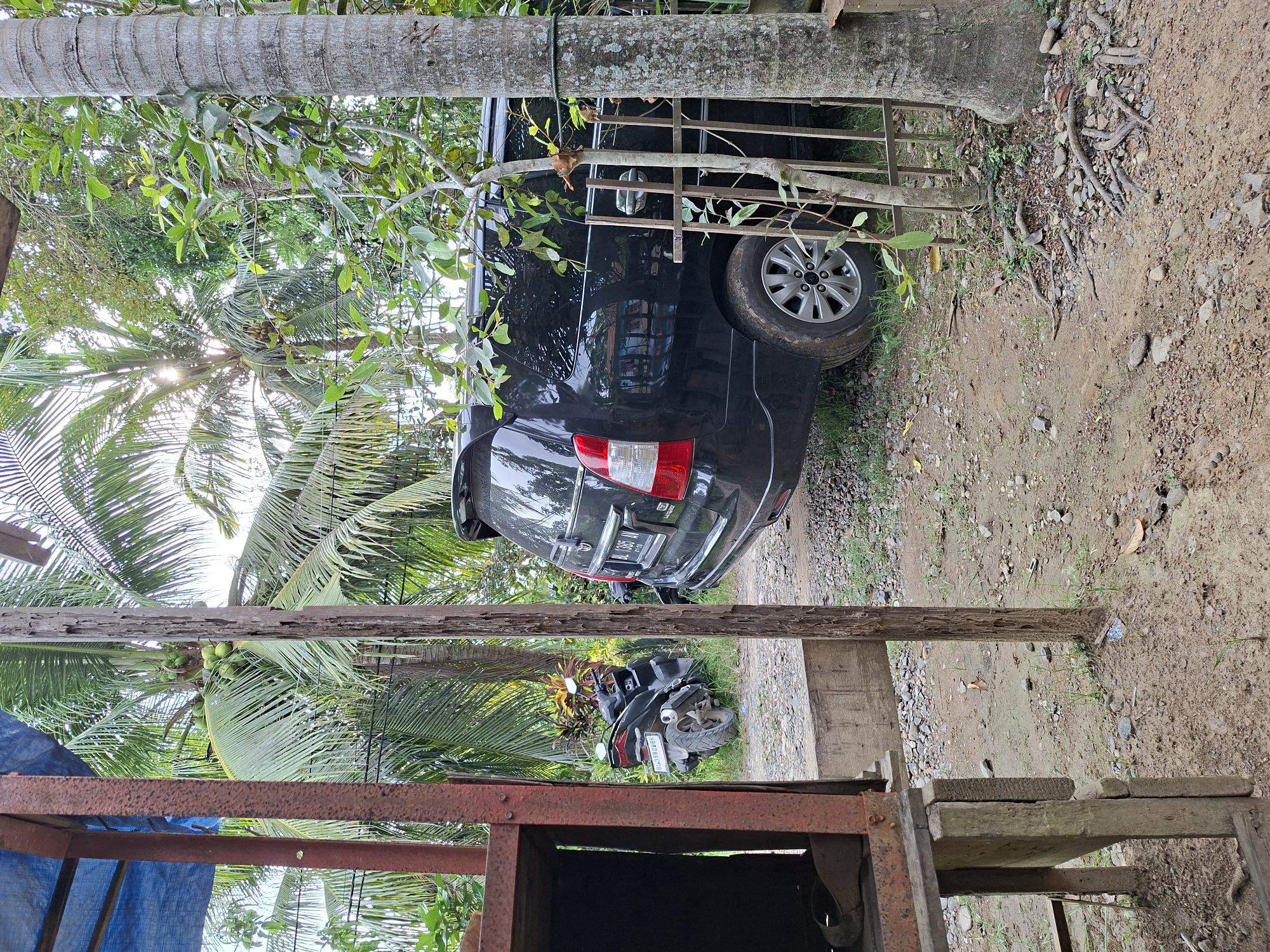 This image captures an outdoor scene, likely a rural or semi-rural setting, in Meunasahreudeup, Indonesia. The primary subjects are a black sport utility vehicle (SUV) and a black motorcycle, both parked on unpaved ground.
The black SUV is visible from its rear-right side, positioned next to a large tree trunk on the right of the frame. Its license plate, "BL 1365 MW," is clearly legible. The SUV features silver alloy wheels and red taillights. Further back and slightly to the left of the SUV, a black motorcycle is parked, showing its rear wheel and seat. Its license plate reads "BL 3180 AY."
The environment is lush with vegetation, dominated by tall palm trees with green coconuts, particularly in the upper-left and center-left background. Bright sunlight filters through the palm fronds, indicating daytime with clear weather. A prominent, textured tree trunk runs vertically down the right side, bordering the area where the SUV is parked. The ground beneath the vehicles and extending into the middle-right of the frame is unpaved, composed of dirt, gravel, and sporadic grass.
In the immediate foreground, a rustic structure made of wooden planks and rusty metal beams partially obscures the view. A blue tarp or fabric is visible on the left side of this foreground structure, possibly part of a shed or a makeshift shelter. No people are present in the image.