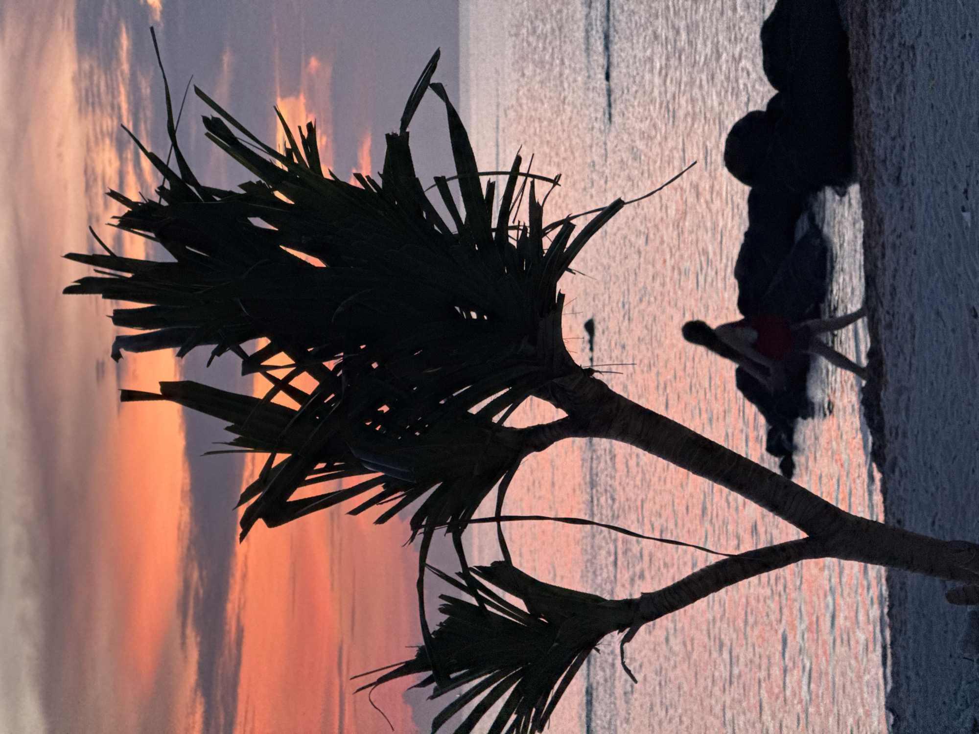 A silhouette of a person in a red dress walks along the sandy shore of a beach at sunset. In the foreground, a palm tree with sparse fronds casts a shadow over the sand and water. The sky is painted with hues of orange and purple, with wispy clouds scattered across the horizon. The ocean is calm, with gentle waves lapping at the shore, reflecting the colors of the sunset. Large, dark rocks are visible in the shallow water near the shoreline. The scene appears to be on Lý Sơn Island, a volcanic island in Quảng Ngãi Province, Vietnam, known for its beautiful beaches and sunsets.