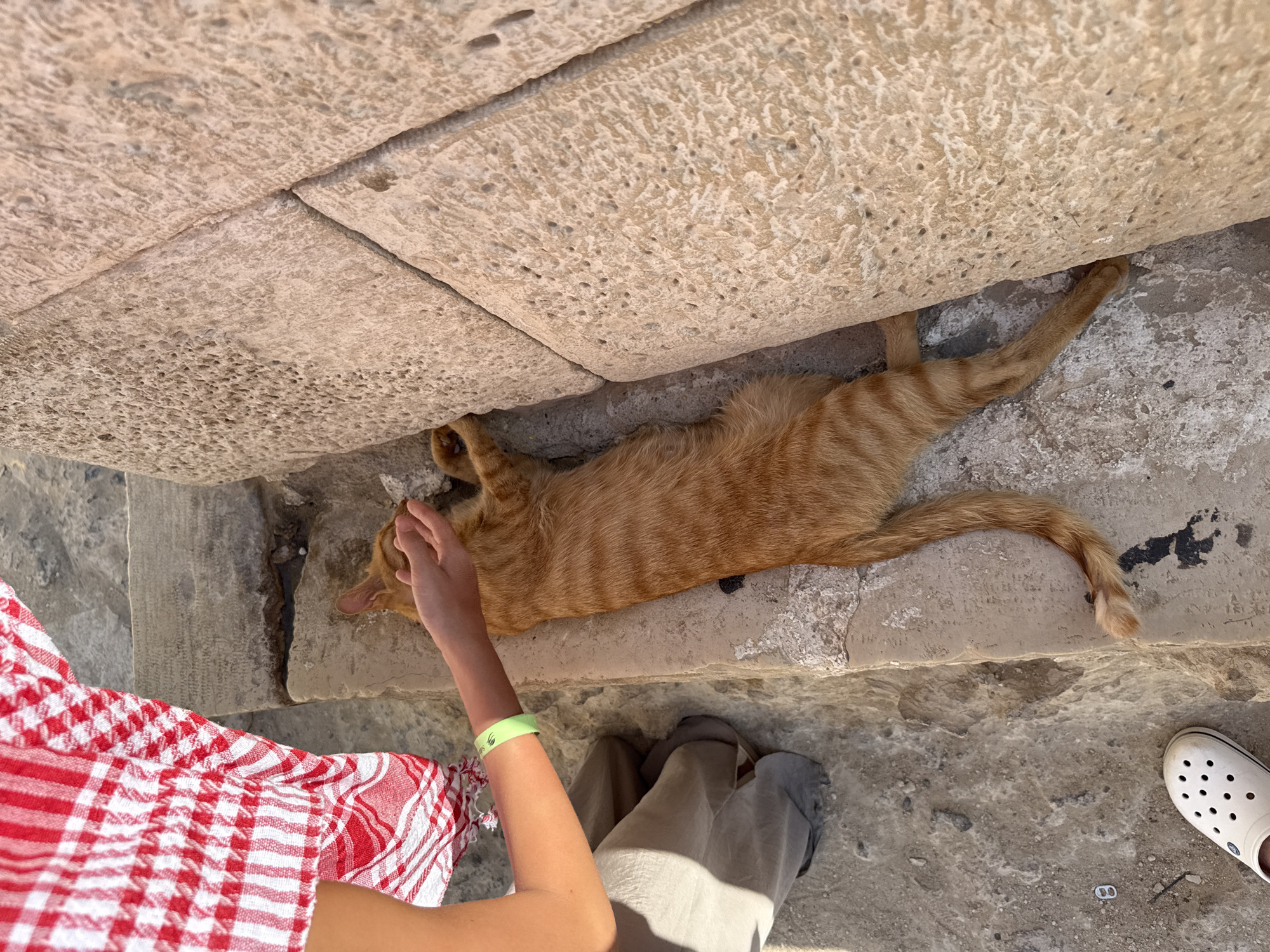 A person wearing a red and white checkered garment is petting an orange tabby cat in Giza, Egypt. The cat is lying down next to a large, rough-textured stone wall. The ground is composed of concrete and rubble. The person's hand is resting on the cat's back, and the cat appears relaxed. A green bracelet is visible on the person's wrist. The scene is lit by natural sunlight, casting shadows on the ground. In the lower left corner of the image, a white clog-style shoe is visible.