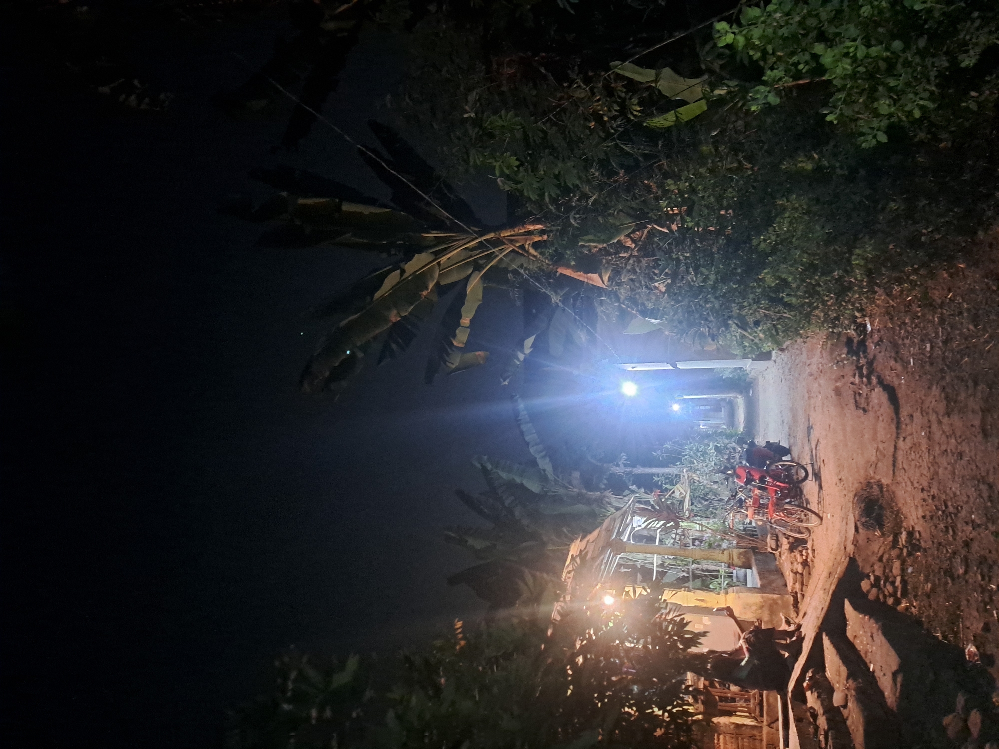 This is a nighttime photograph taken in Sumberejo, Indonesia, depicting a rural or semi-rural scene. The foreground is a dirt path, with a person sitting on a concrete step on the left side of the image, holding a smartphone. To the right of the path, there are two bicycles, one red and one orange, parked next to a dark-colored motorcycle. Behind the bicycles and motorcycle, there is lush green vegetation and trees, including large banana leaves.
In the middle ground, a dimly lit structure, possibly a house or shop with a thatched roof, is visible on the left. A bright light source illuminates the area in front of this structure. Further down the path, another bright light source is present, casting light on the path and surrounding foliage. The background is dark, indicating nighttime, with silhouettes of trees and plants. The overall atmosphere is dark and quiet, with artificial lights providing the primary illumination.