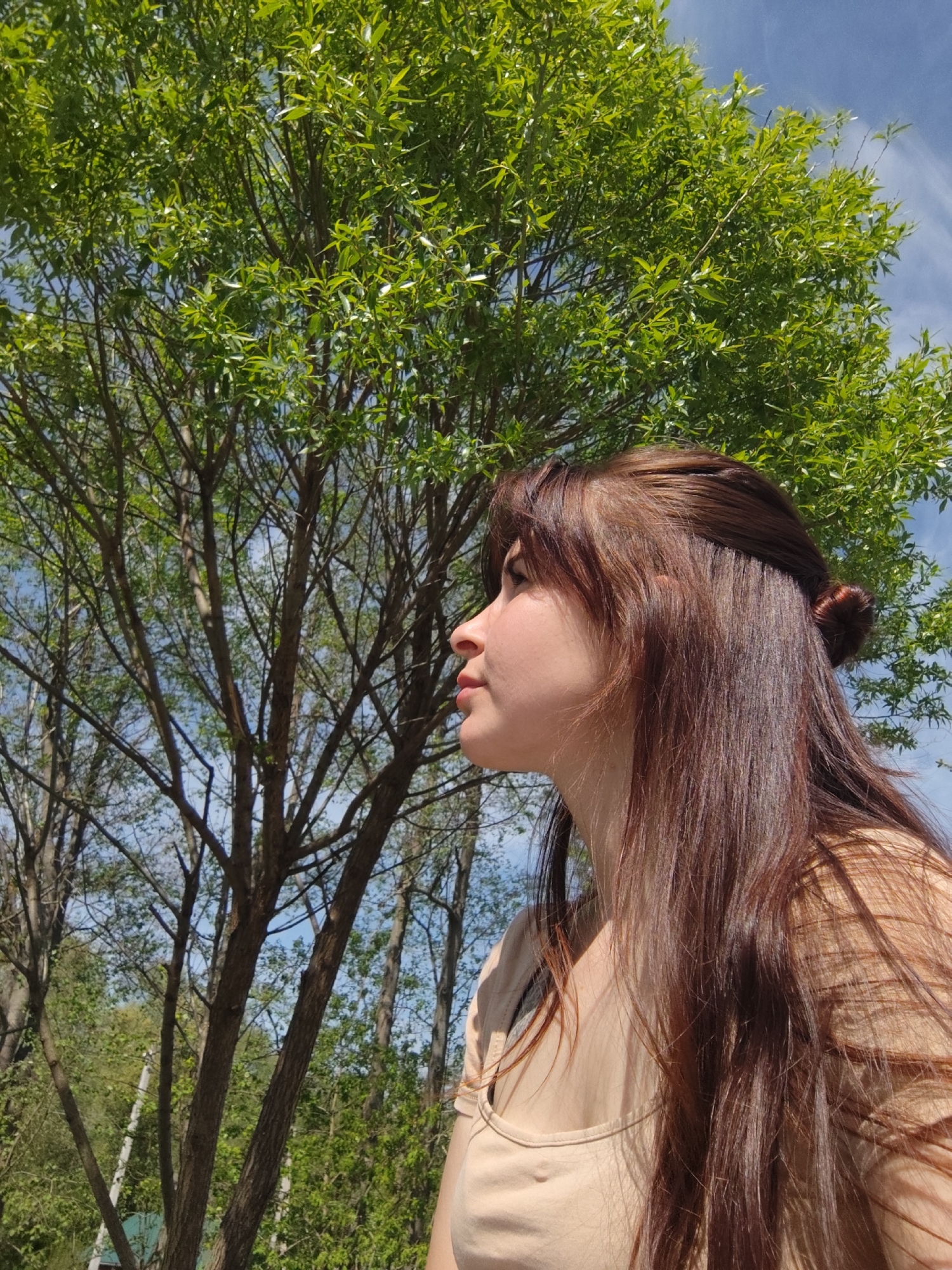 A young woman is captured in profile against a backdrop of trees and sky. She has long, brown hair with a reddish tint, styled with the top section pulled back into a small bun. Her skin appears light, and she is wearing a tan-colored shirt. The background is filled with a tree with many green leaves, branches, and a glimpse of blue sky with wispy clouds. Other trees with thinner trunks are visible in the distance. The location is Фоки, Russia.
