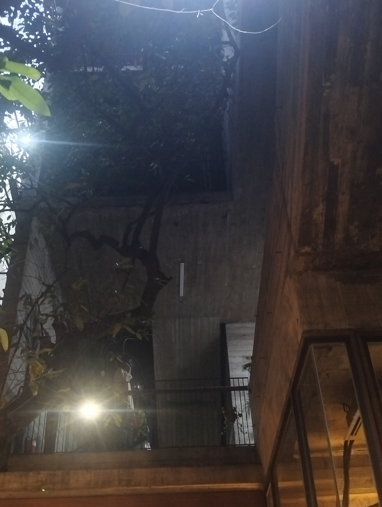 The photograph captures a partial view of a multi-story building in Dhaka, Bangladesh, likely taken during twilight or night. The structure features a combination of raw concrete walls and glass windows, with visible elements of the building's internal structure reflected in the glass. Vegetation, including trees and foliage, is interspersed with the building's architecture, suggesting either a rooftop garden or plants integrated into the building's design. A balcony with a metal railing is present, offering a glimpse of the interior. The lighting is uneven, with bright spots emanating from light sources obscured by the foliage, contrasting with the darker areas of the concrete walls. The overall scene evokes a sense of urban integration with nature, typical of contemporary architecture in Dhaka.