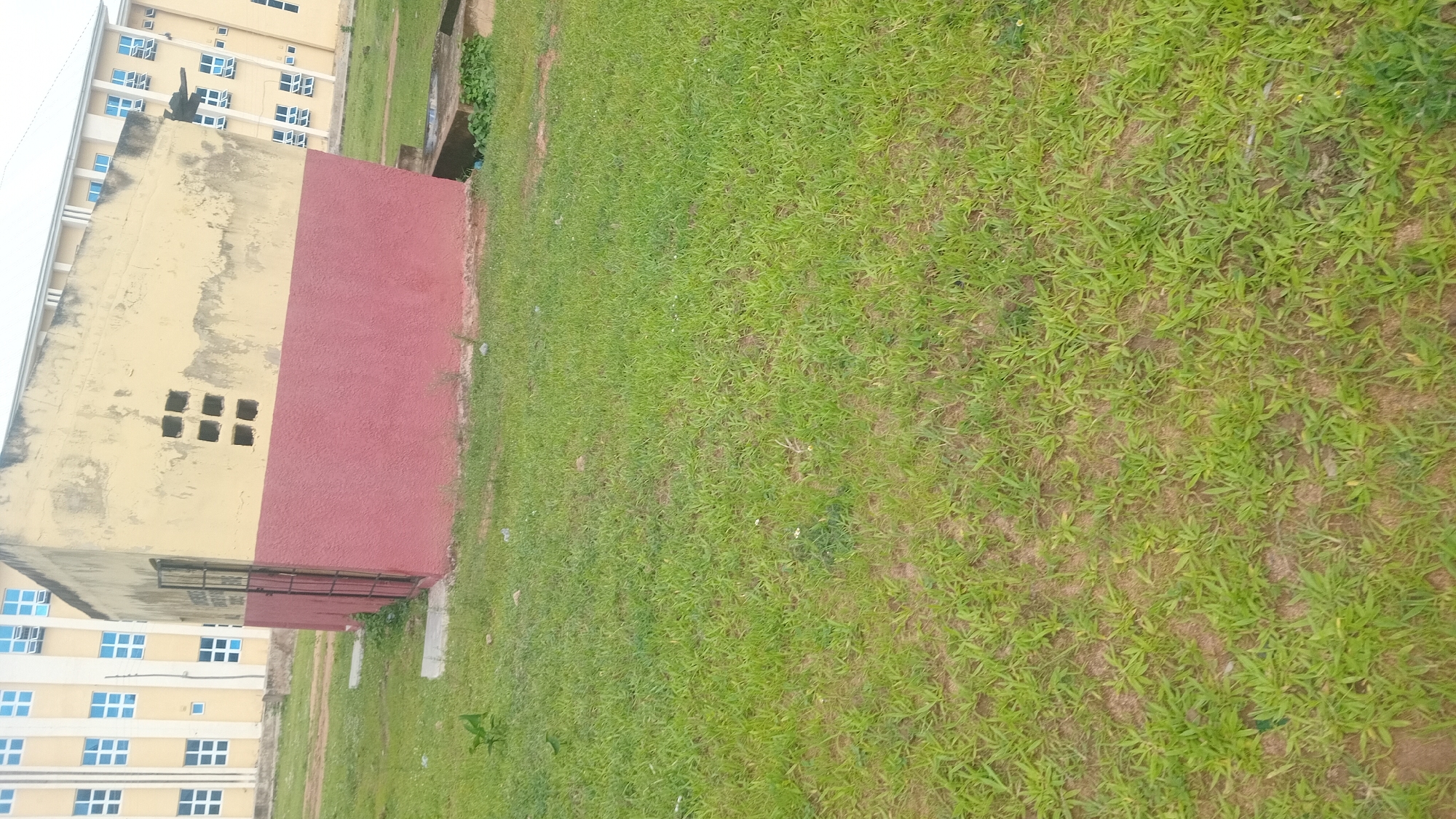 The image depicts an outdoor scene in Jalingo, Nigeria, with a focus on a building and a grassy area. A two-story building with a yellow and red facade is prominently featured on the left side of the frame. The yellow portion of the building shows signs of wear and tear, with visible patches and discoloration. There are several small square openings arranged in a grid pattern on this yellow section, resembling windows or ventilation openings. Below these openings, a darker, barred window or door is visible. The red lower section of the building appears to be freshly painted.
To the left of this building, another taller, multi-story building with a light yellow exterior and numerous blue-framed windows is partially visible. This building suggests an institutional or residential complex.
The majority of the image is taken up by a large expanse of green grass. The grass appears to be somewhat uneven and sparse in places, with patches of dry earth visible. There are a few small white specks, possibly flowers or debris, scattered within the grass. A narrow, dark trench or drainage channel runs along the base of the red section of the building, disappearing into the vegetation.
The overall lighting suggests it is daytime, with no strong shadows indicating direct sunlight, possibly an overcast or diffused light. The scene appears to be an open area adjacent to buildings, likely a campus or public space. No people are visible in the image, and no text is discernible. The setting is likely urban or semi-urban, given the presence of the buildings.