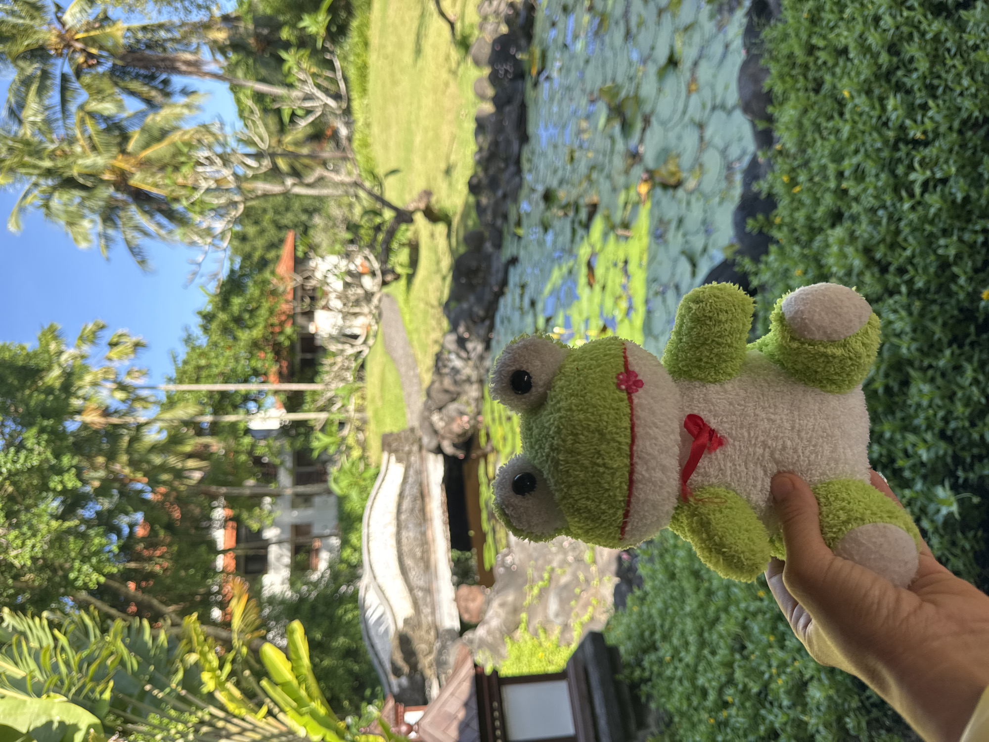 A person's hand holds a plush, white and green toy frog with a small red bow against an outdoor background. The setting appears to be a tropical garden, judging by the lush greenery, palm trees, and buildings visible in the out-of-focus background. There is a lily pond in the background, to the right. The photo's orientation is vertical. The scene appears to be in Kuta Selatan, Indonesia based on the architecture and vegetation, but this cannot be confirmed.