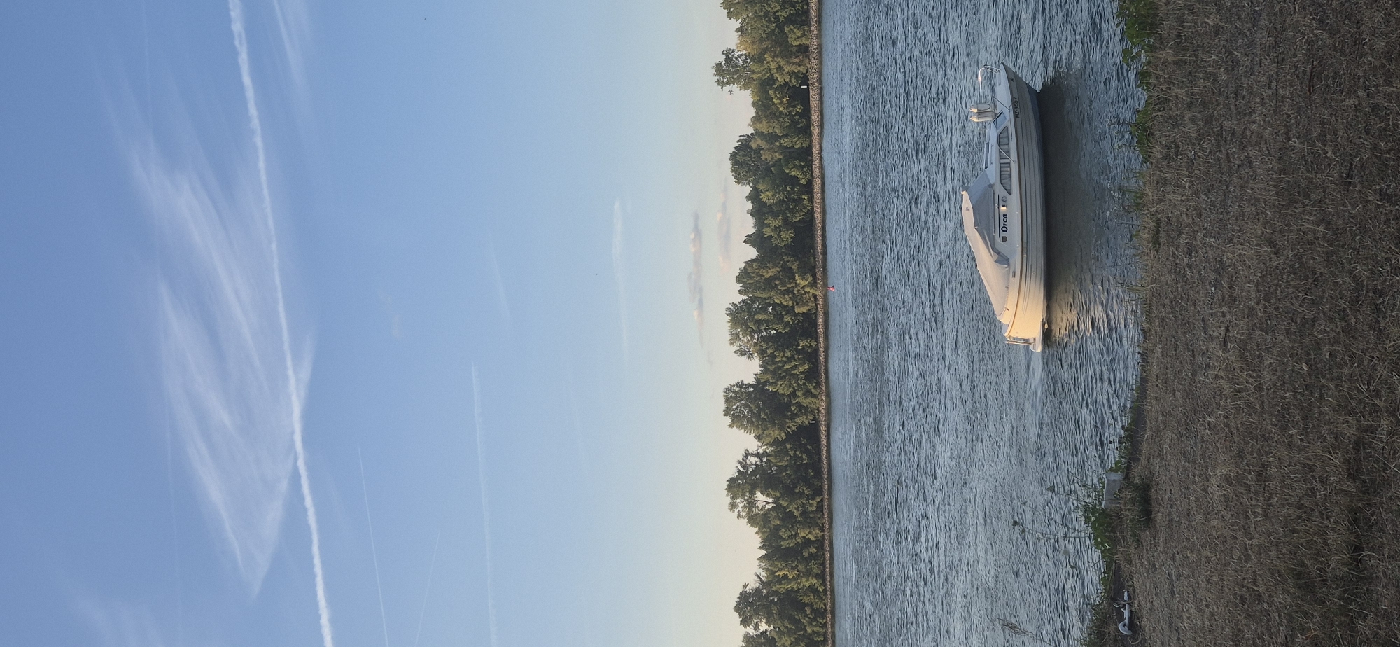 The image depicts a serene river scene with a white motorboat docked near the shore. The boat, identified by the name "Orca" and license plate "MZ-B357," is partially covered by a gray tarp and appears stationary. The river water is a deep blue, reflecting the clear sky above, which is adorned with thin, wispy white clouds and contrails.
The foreground features dry, yellowish-brown grass and a small patch of green vegetation. On the grass near the water's edge, there's a small, dark object that resembles a toy scooter or scooter parts.
Across the river, a dense line of lush green trees forms a natural barrier, with a hint of a stone embankment visible beneath them. A small red buoy is floating in the water in the distance. The overall impression is one of peacefulness and a typical riverside landscape.
Considering the license plate "MZ-B357," the "MZ" typically signifies Mainz as the registration district, placing the scene in or around the city of Mainz, Germany. This specific view might be along the Rhine River in Mainz, given the wide expanse of water and the tree-lined banks characteristic of the area.