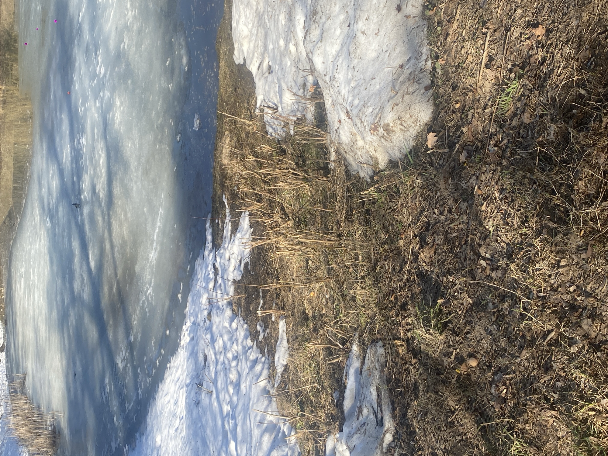 The image shows a partially frozen body of water with snow and vegetation along the shoreline. The ground is covered with dead grass, leaves, and patches of snow. The water is covered in ice. There is no verifiable information to determine the location within the city of Moscow, Russia. No people are visible.