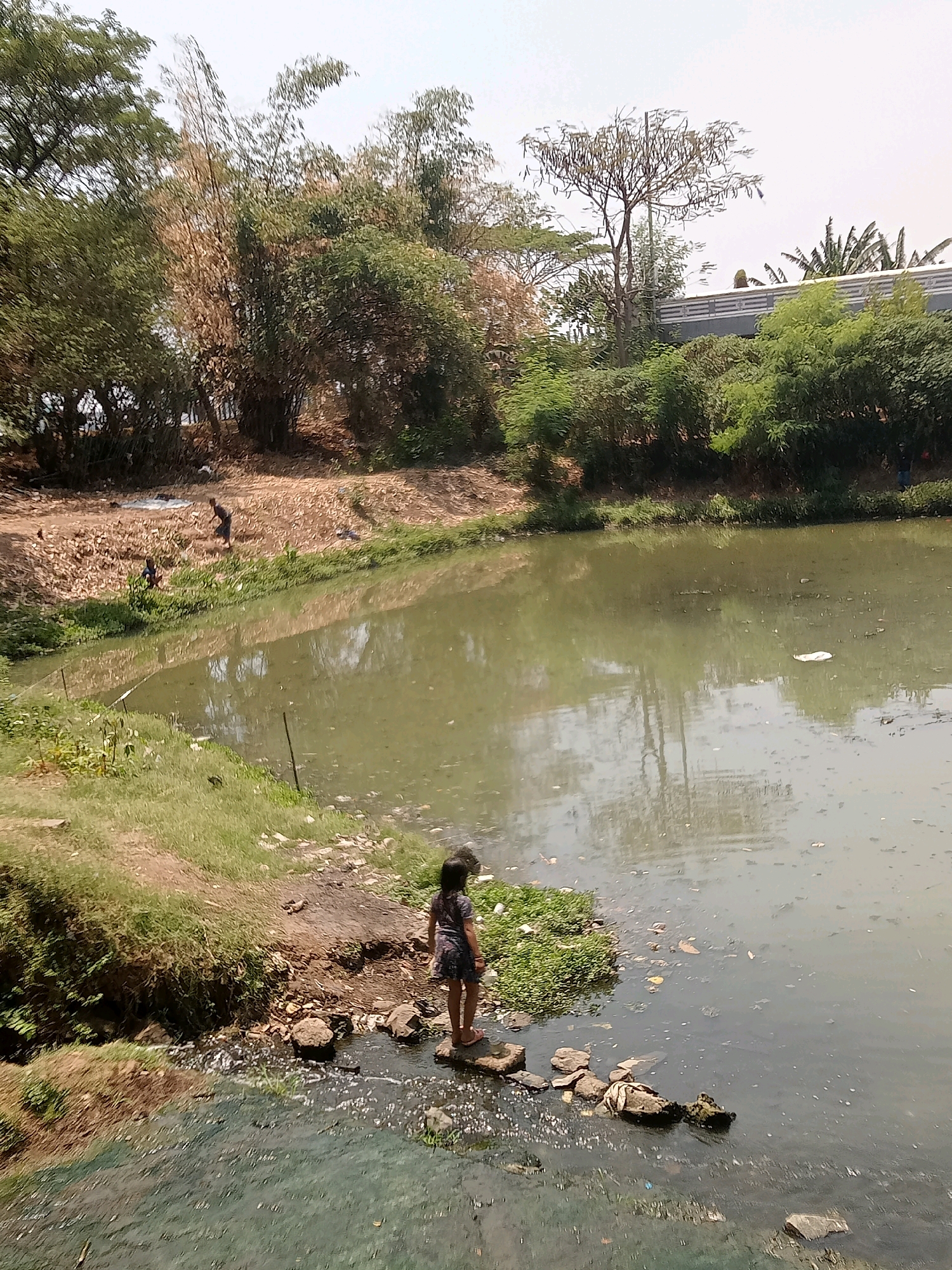 The image depicts an outdoor scene near a body of water, possibly a canal or a pond, in North Jakarta, Indonesia. The water is murky and shows signs of pollution, with visible trash floating on its surface and along the banks. Vegetation, including trees and tall reeds, surrounds the water. In the background, a bridge spans across the scene.
In the foreground, a young girl stands on a series of rocks at the edge of the water, facing away from the camera and towards the water. She is wearing a dark-colored dress. To the left of the girl, the bank is covered in green grass and some scattered rocks and debris.
Further back on the opposite bank, two individuals are visible. One person appears to be bent over, possibly engaged in some activity near the water's edge, while another, smaller figure is seated closer to the water. The area on this bank is characterized by dry earth, scattered leaves, and a pile of what looks like organic waste or debris. The overall impression is one of an urban environment with neglected waterways.