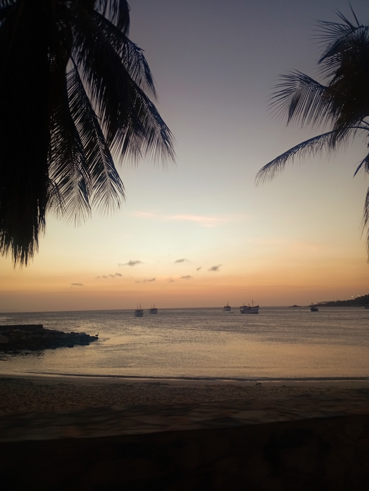 The image is a beach scene at dusk in Juan Griego, Venezuela. The view is framed by silhouetted palm trees on either side. The sky transitions from purple above to orange and yellow near the horizon. Several small boats are visible on the water. A rocky outcrop is present on the left with a large bird perched on it. The foreground shows a sandy beach in shadow.